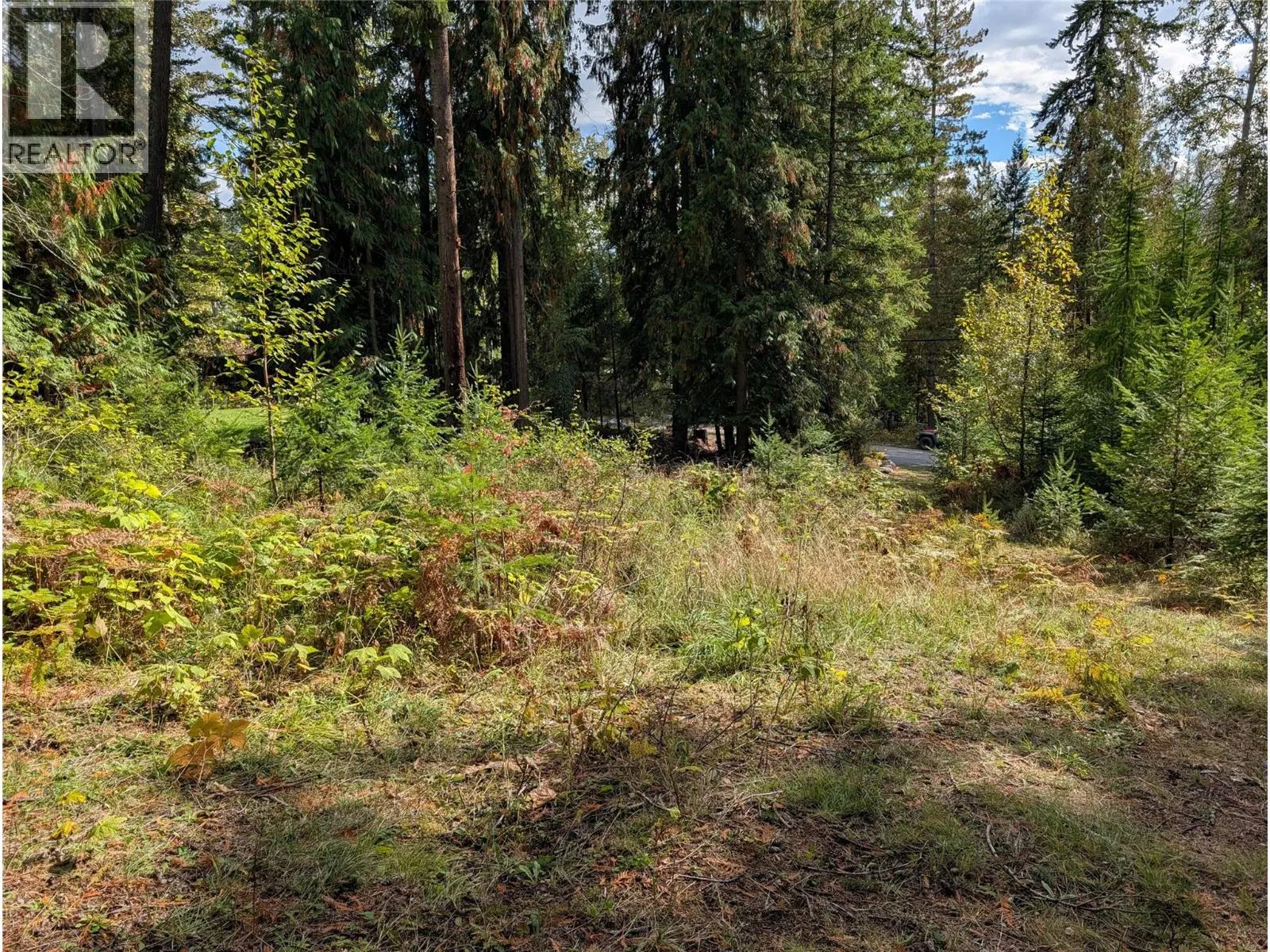 Photo 5 of 15 at Vickers Trail