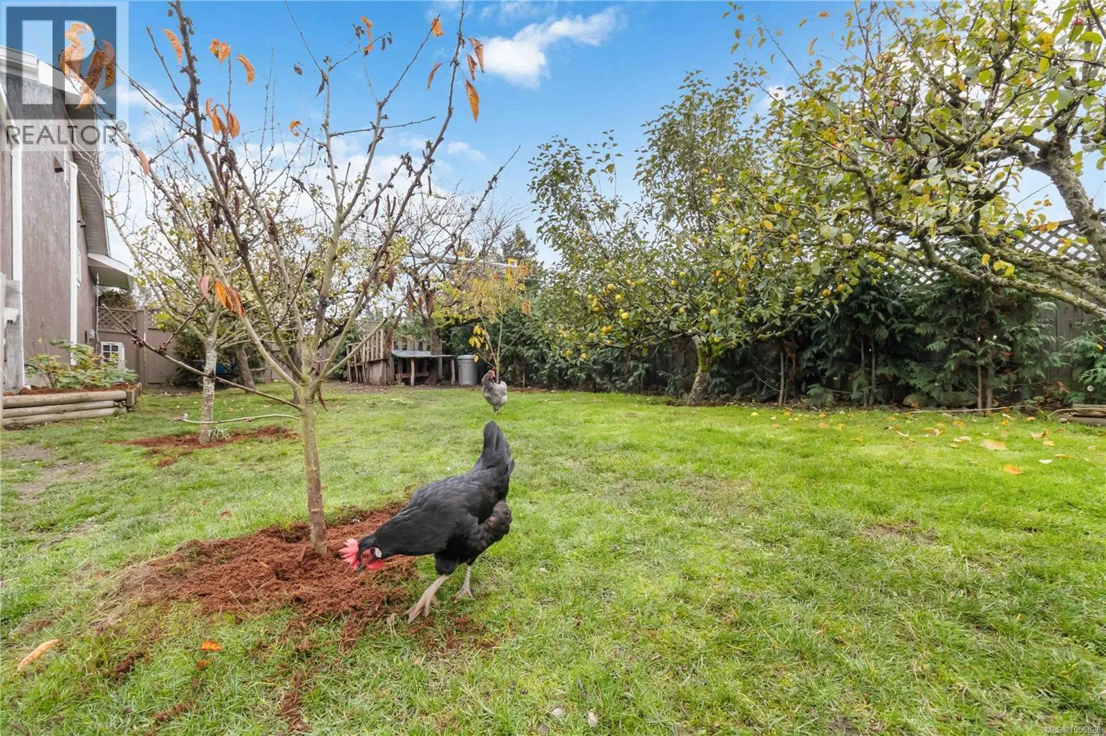 Photo 3 of 47 at 6756 Central Saanich Road