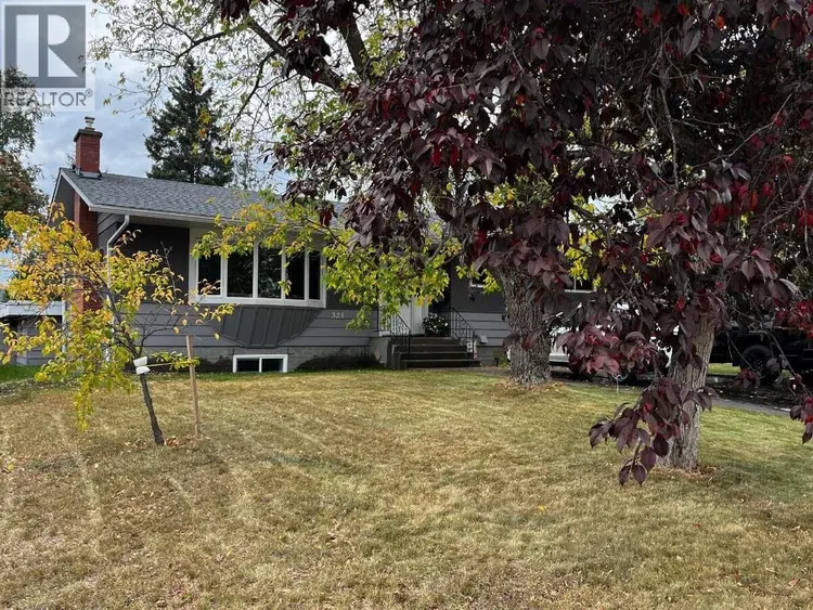 Photo 3 of 40 at 321 OGILVIE Street