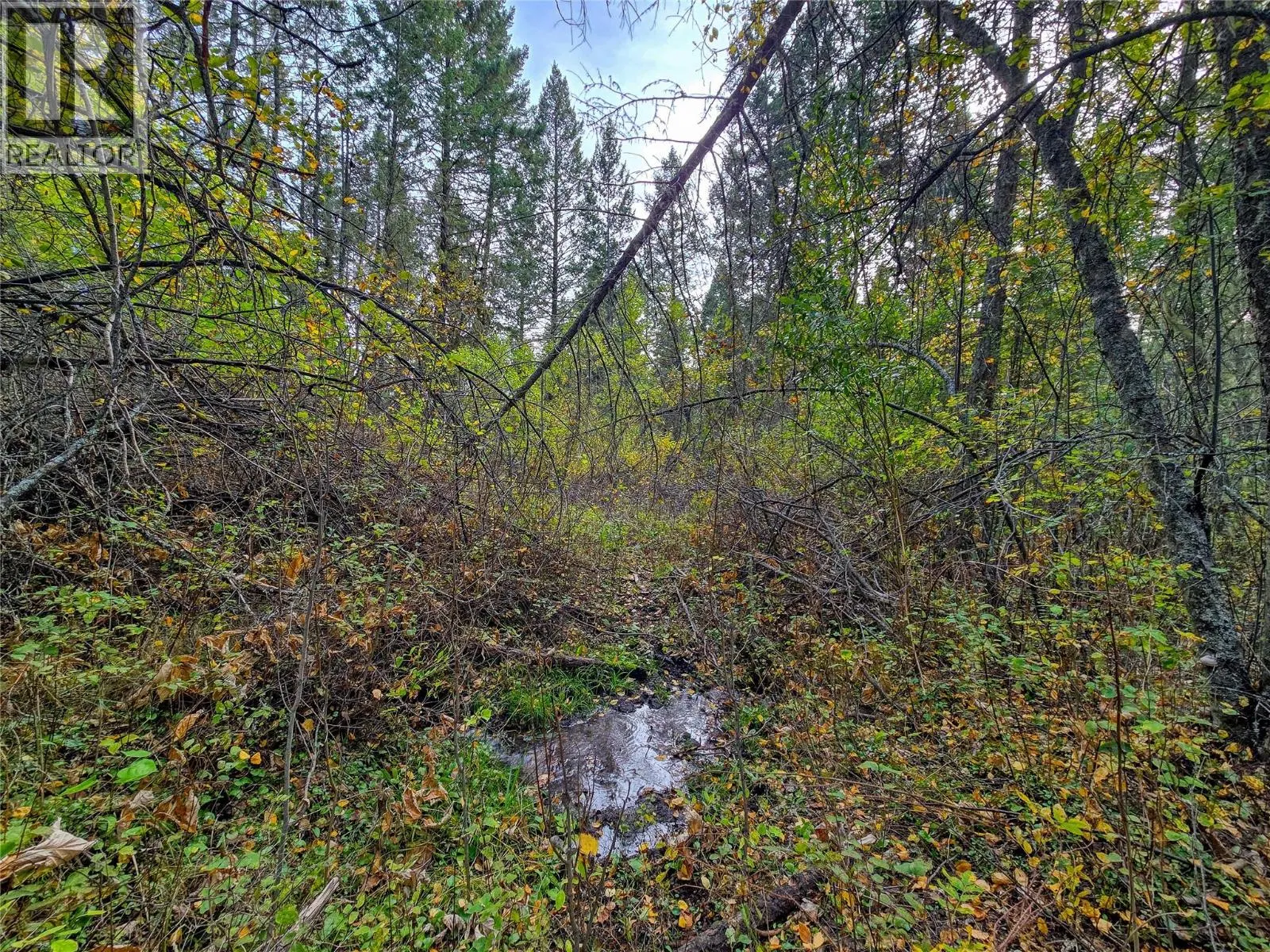 Photo 4 of 79 at 3590 Kootenay No. 3 Road