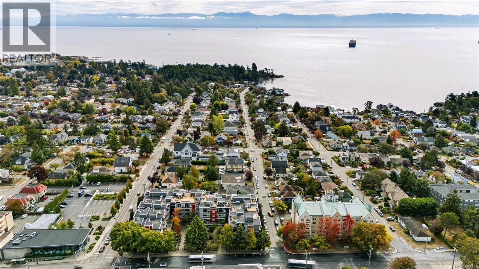 Photo 1 of 44 at #314 – 1315 Esquimalt Road