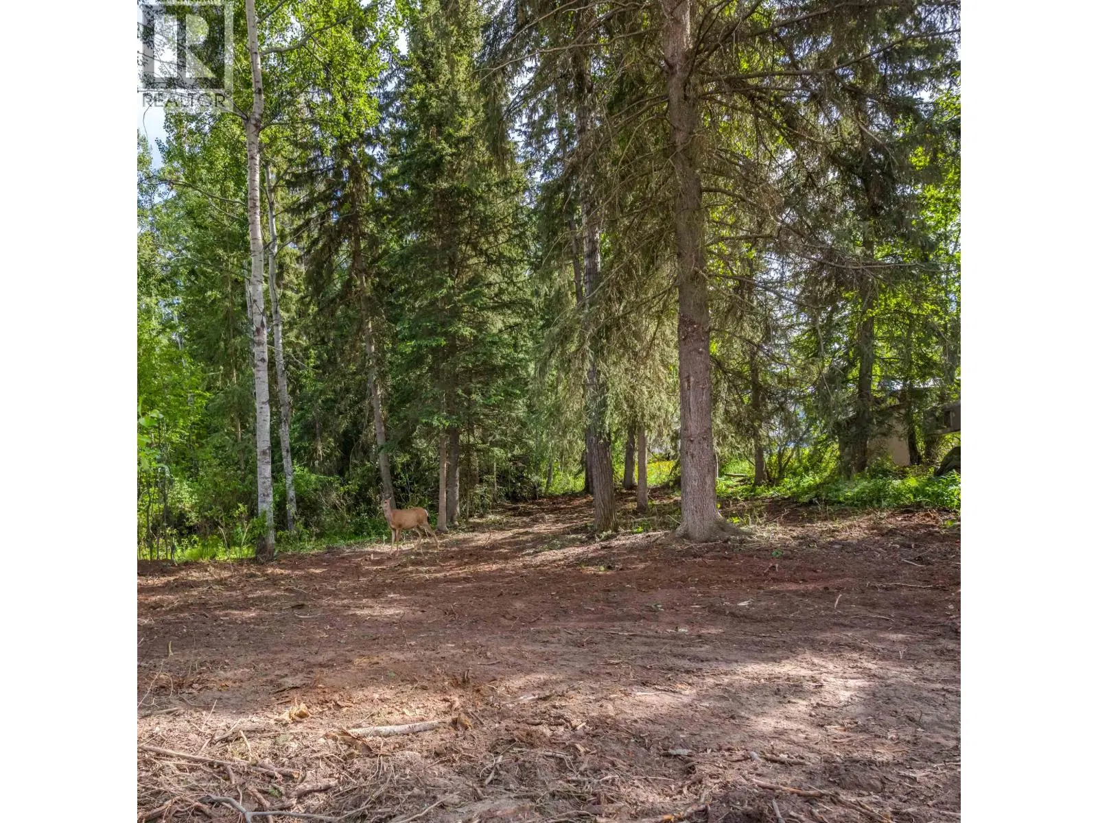 Photo 2 of 8 at LOT 81 MULLIGAN Drive