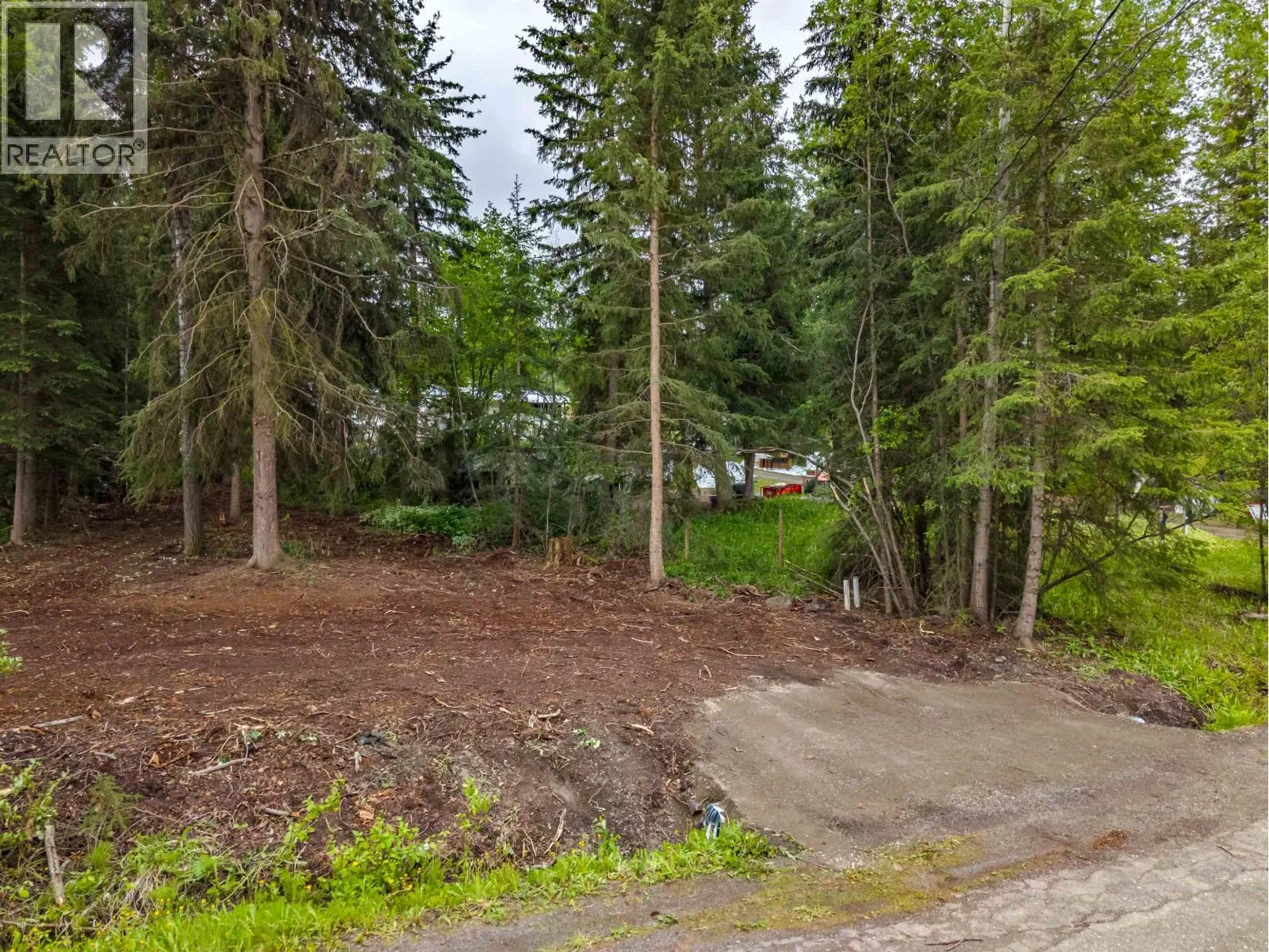 Photo 3 of 8 at LOT 81 MULLIGAN Drive