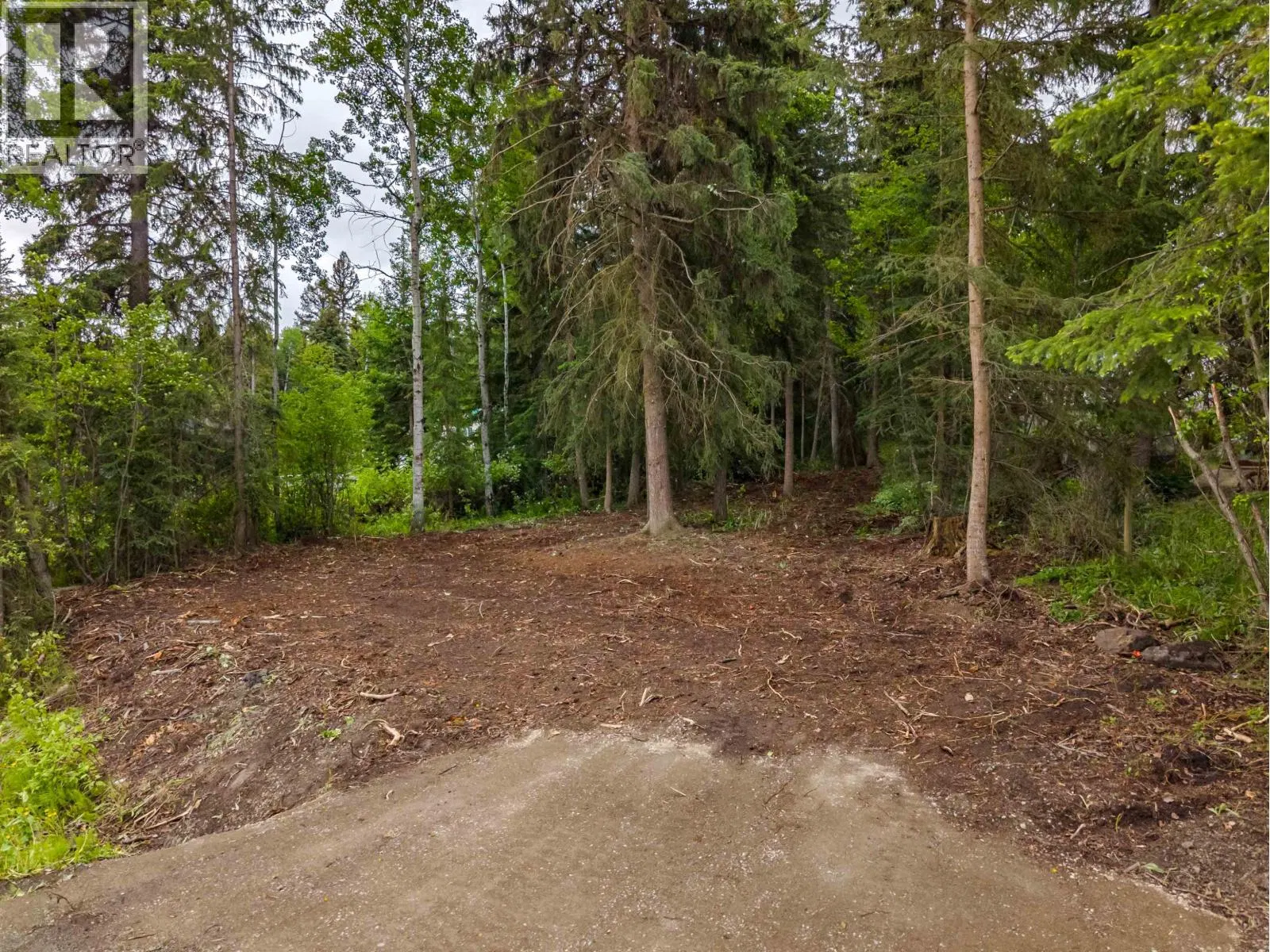 Photo 4 of 8 at LOT 81 MULLIGAN Drive