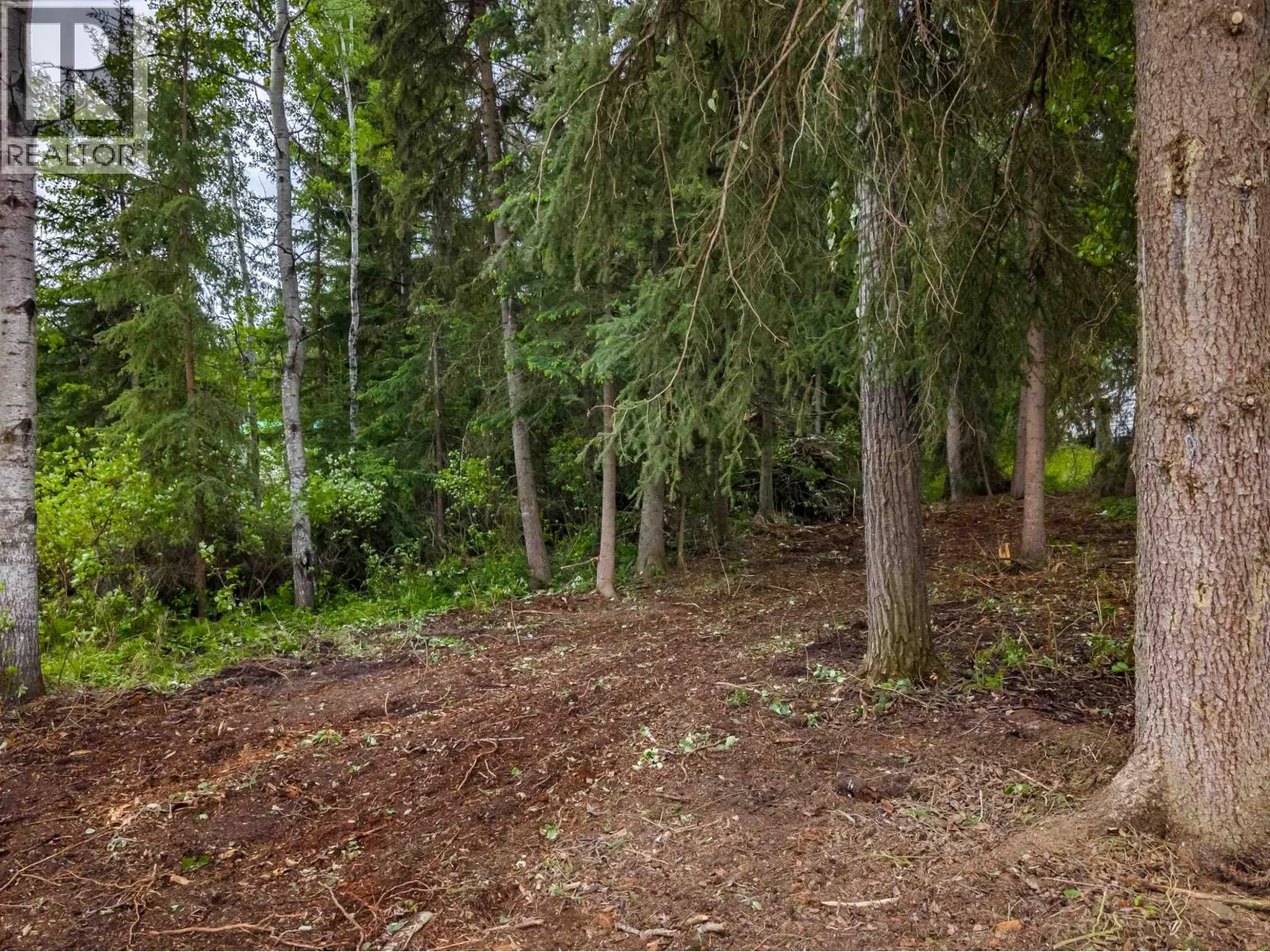 Photo 5 of 8 at LOT 81 MULLIGAN Drive