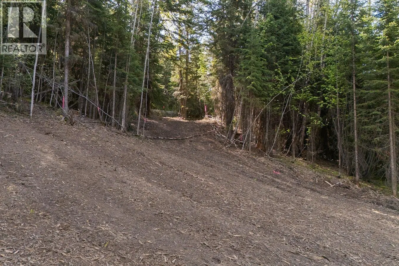 Photo 5 of 7 at 24 BEGER Road