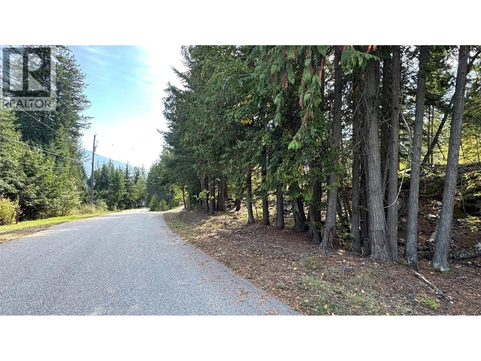 Photo 4 of 15 at Pine Ridge Road