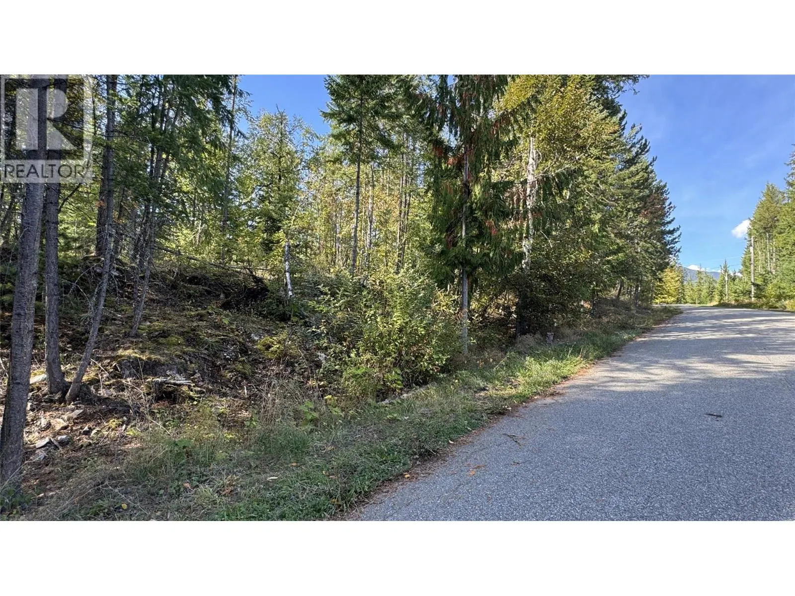 Photo 5 of 15 at Pine Ridge Road