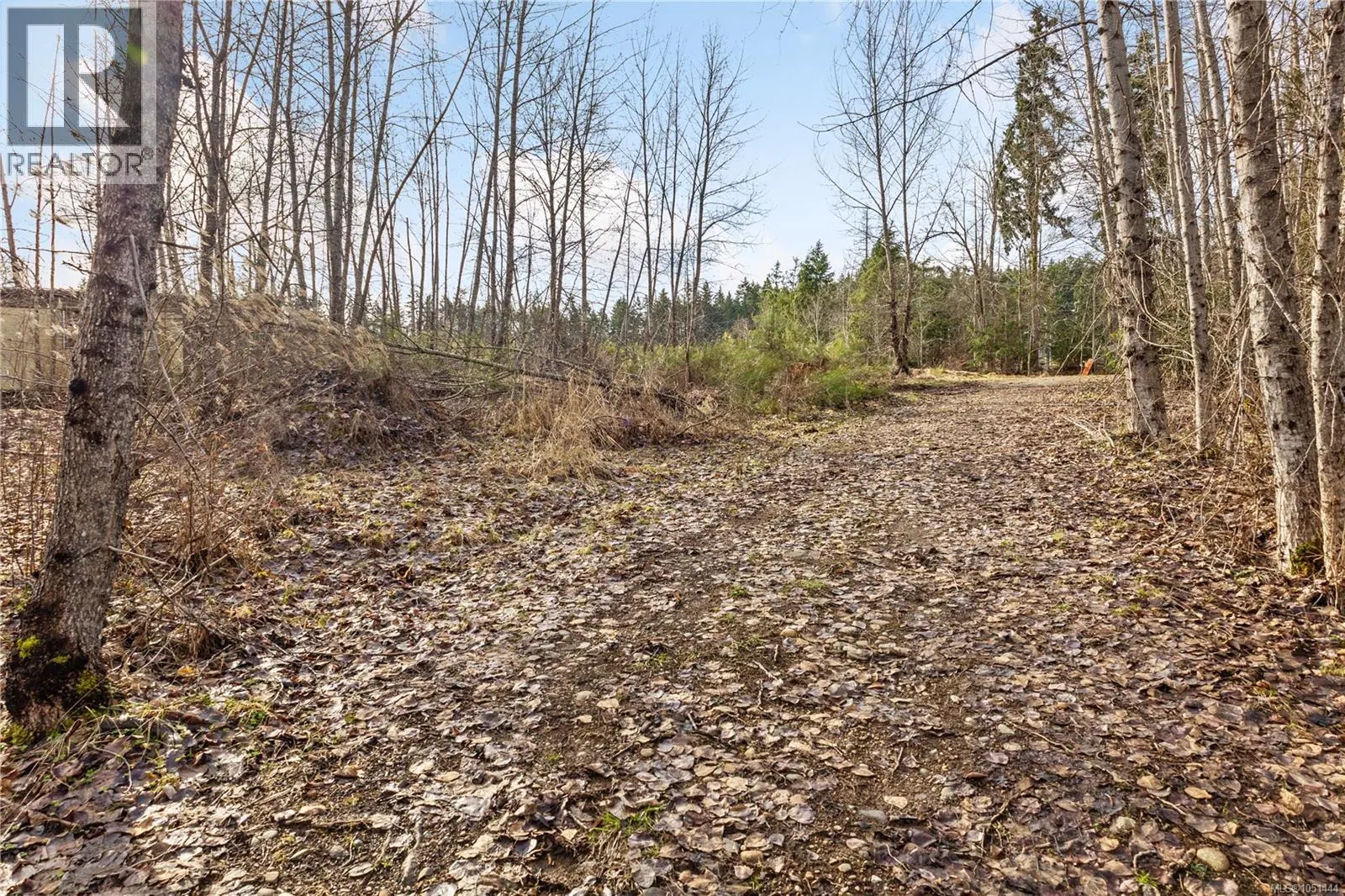 Photo 5 of 27 at 2745 Shaver Road