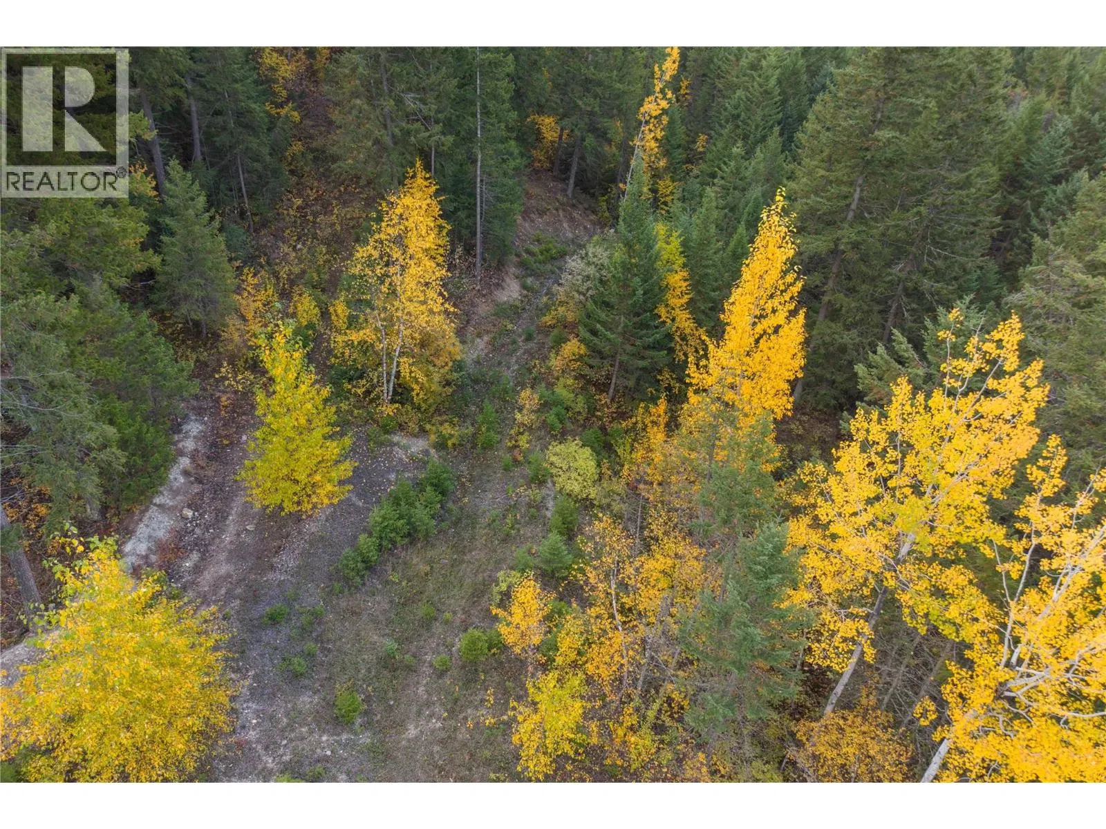 Photo 5 of 21 at 1260 WHITETAIL Drive