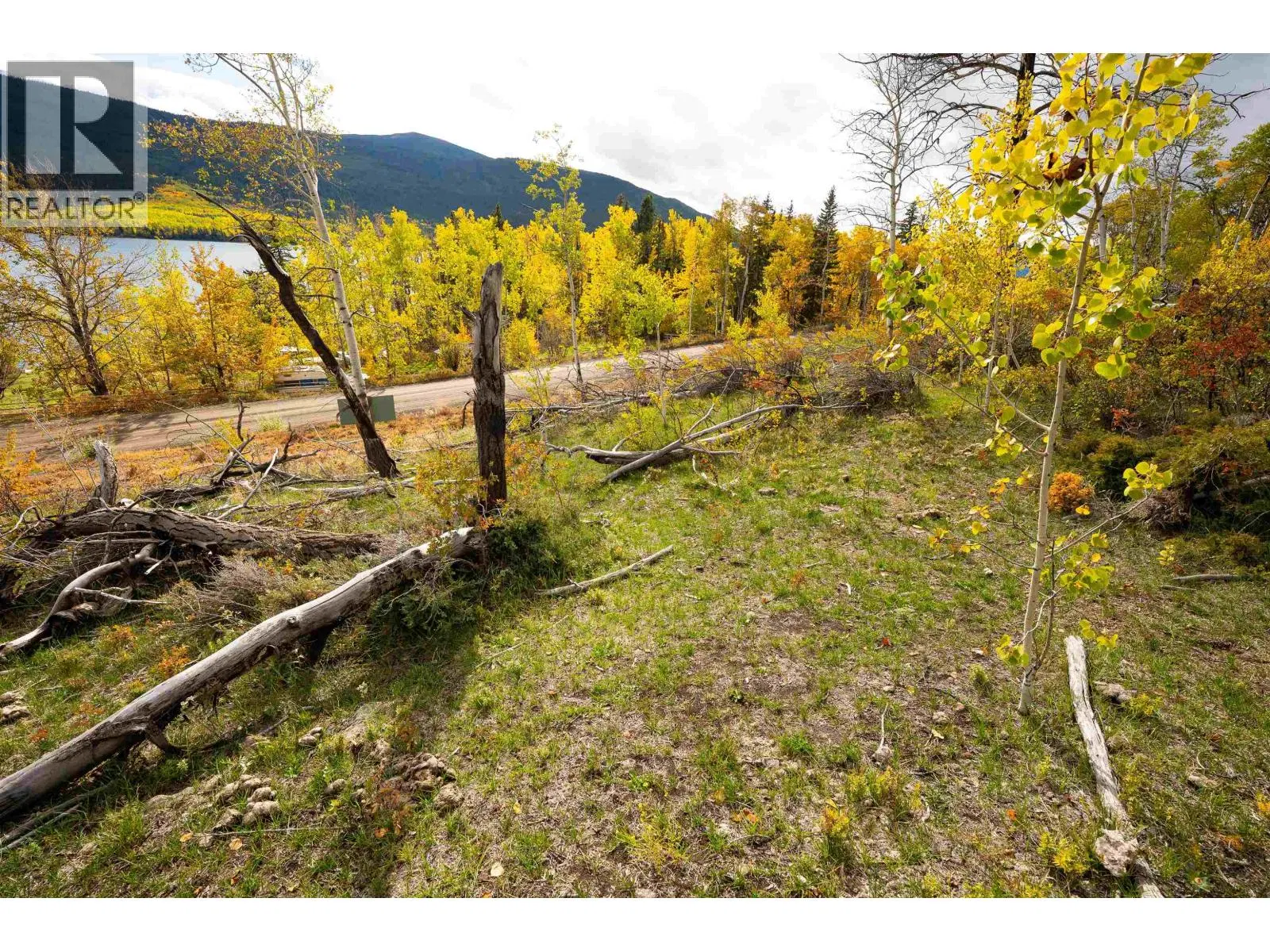 Photo 4 of 14 at DL – 599 NEMAIAH VALLEY Road