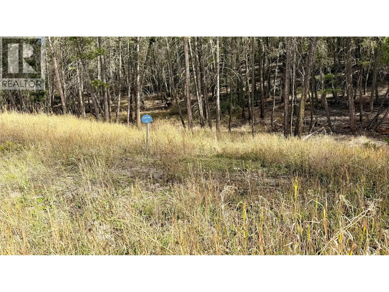 Lot 44 Mountain View Drive