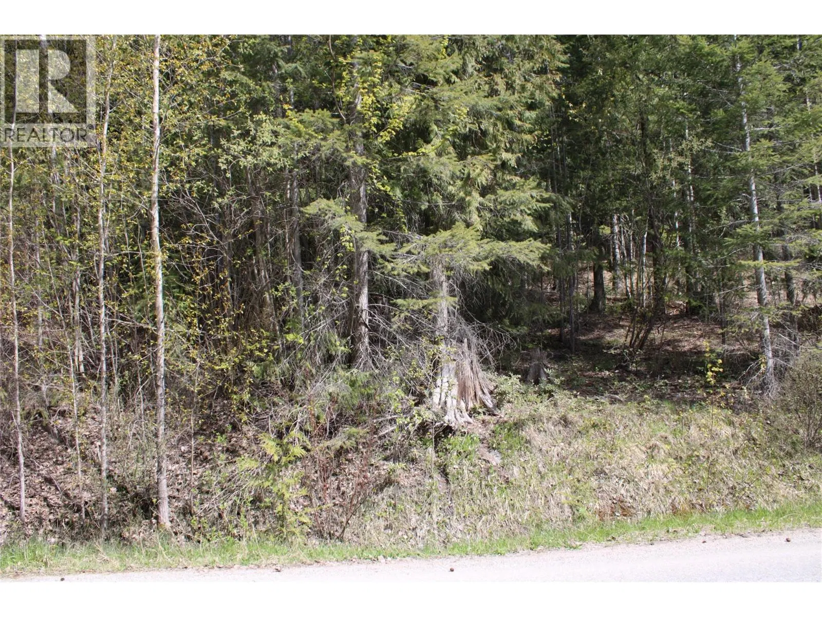 Photo 4 of 6 at Lot 2 Vickers Trail