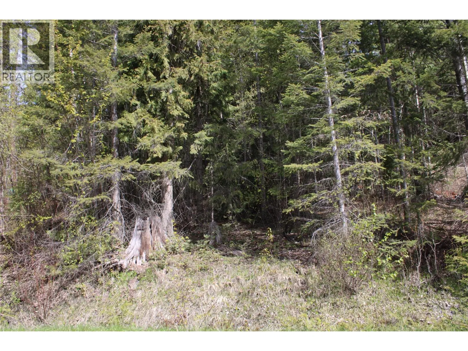 Photo 5 of 6 at Lot 2 Vickers Trail