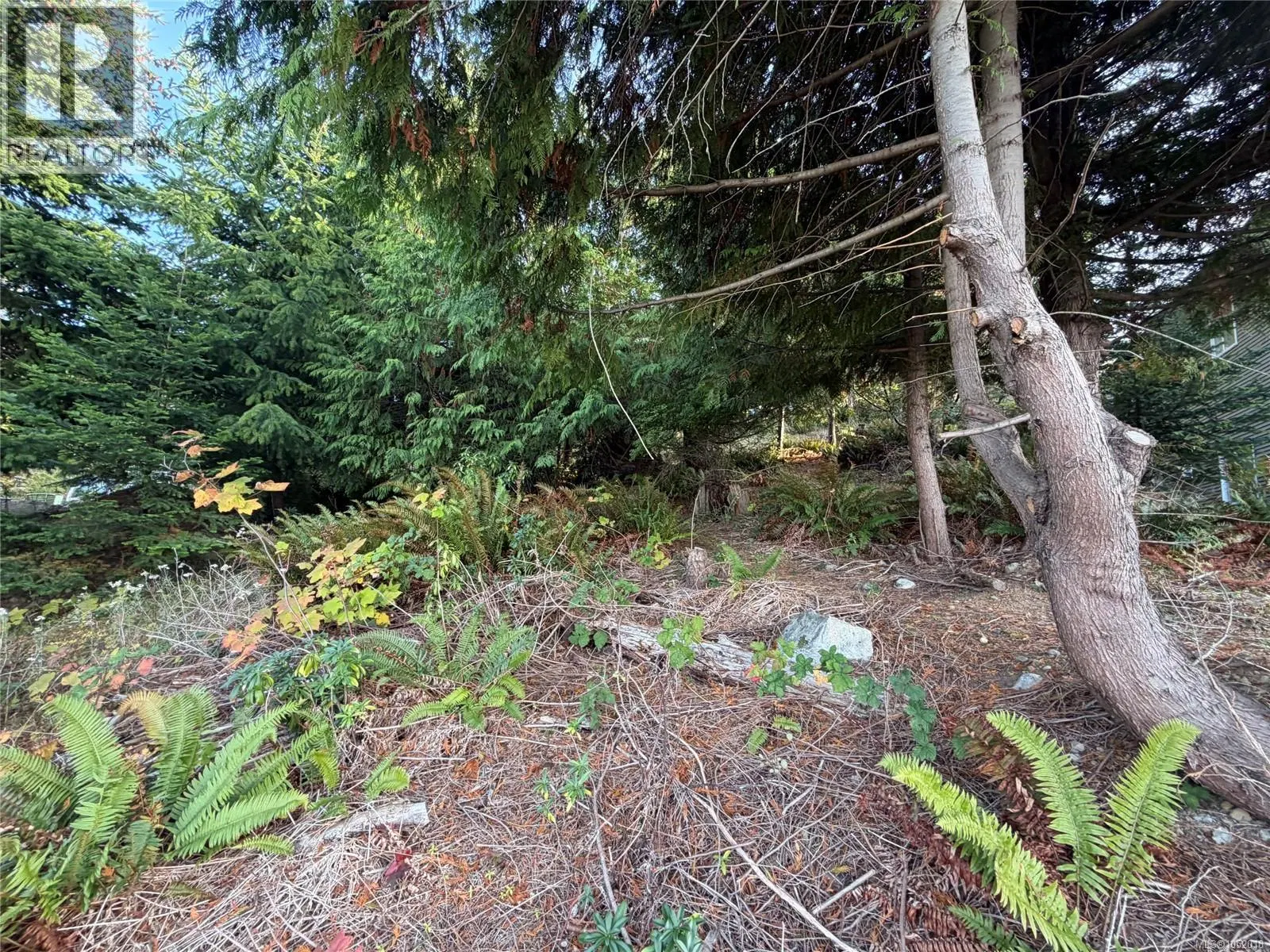 Photo 3 of 5 at 5323 Dewar Road