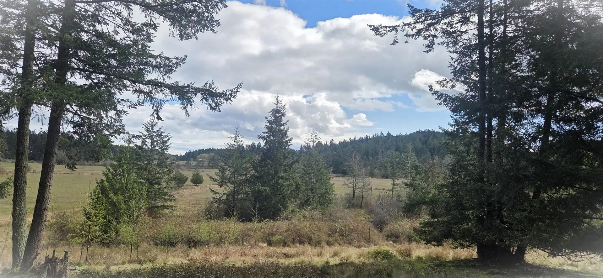 392 Campbell Bay Road
