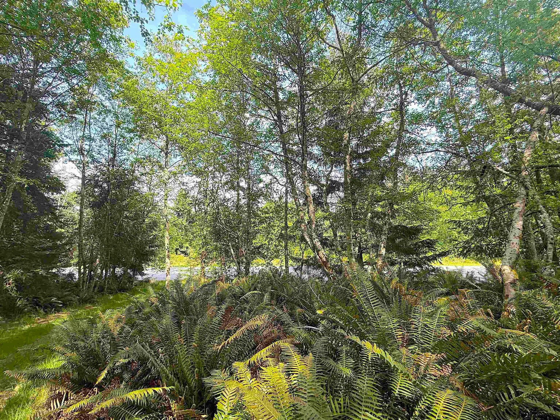 Lot 11 Bodega Beach Drive