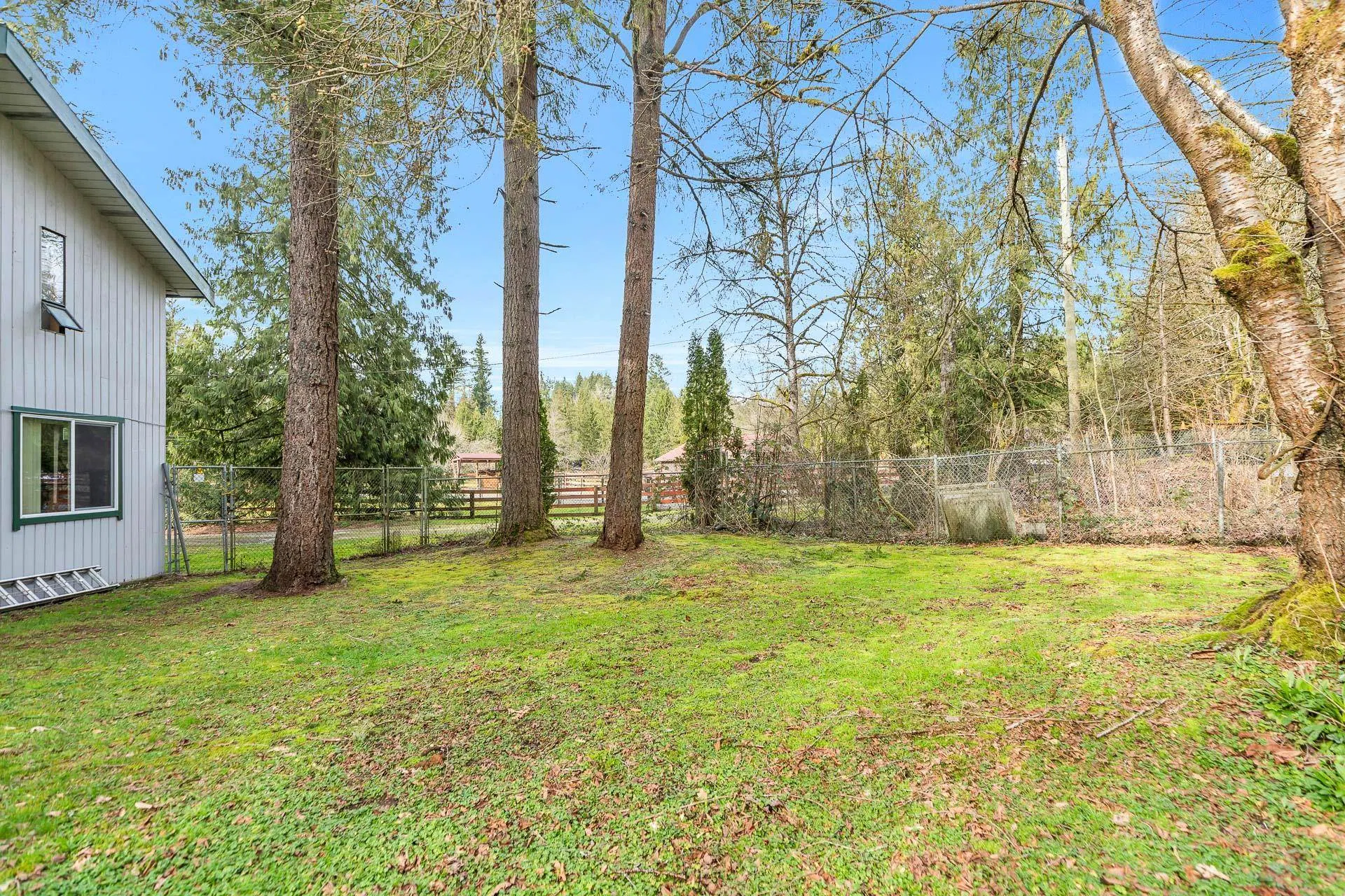 Photo 5 of 37 at 13292 232 Street