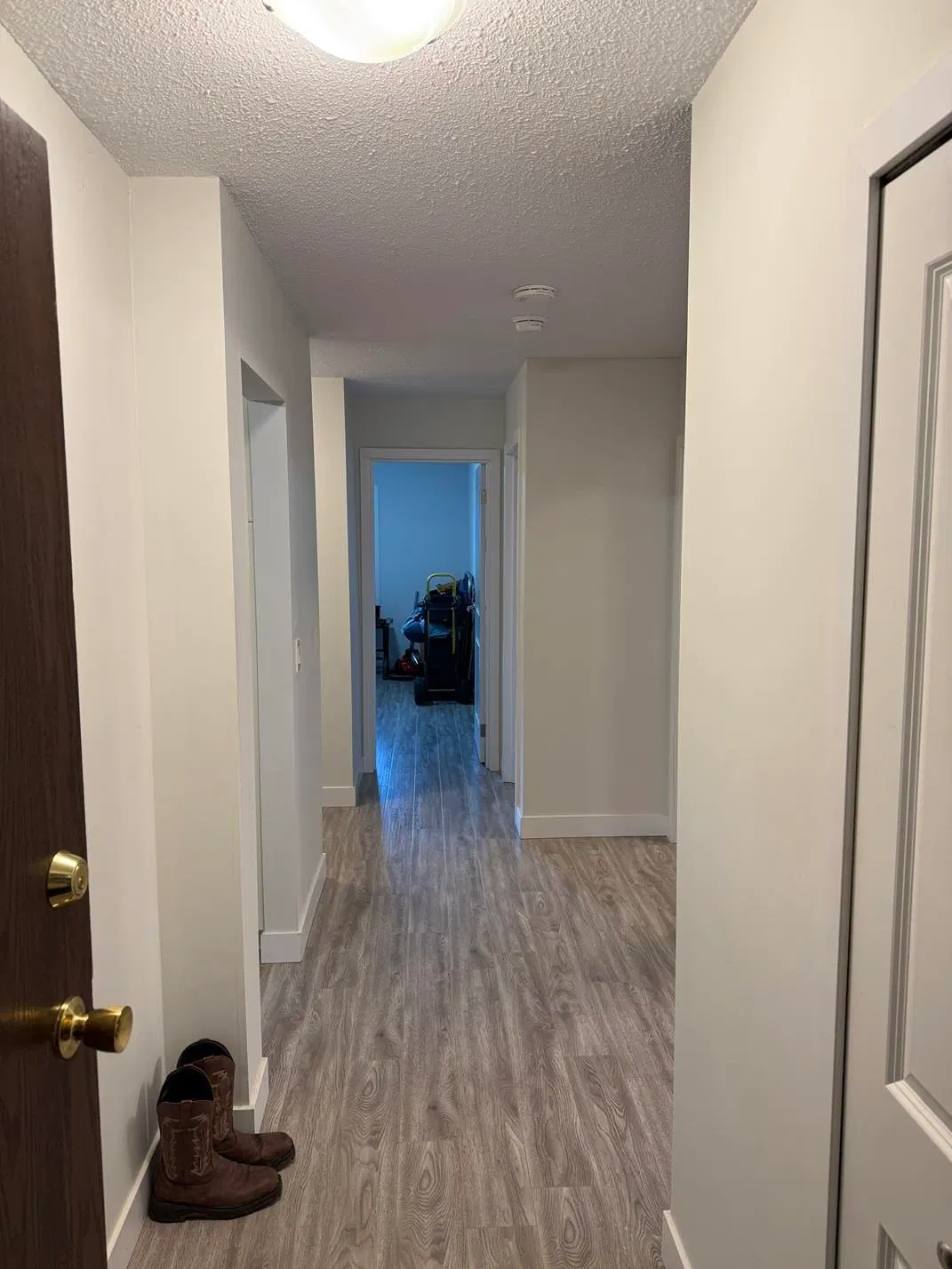Photo 3 of 14 at #103 – 46374 Margaret Avenue