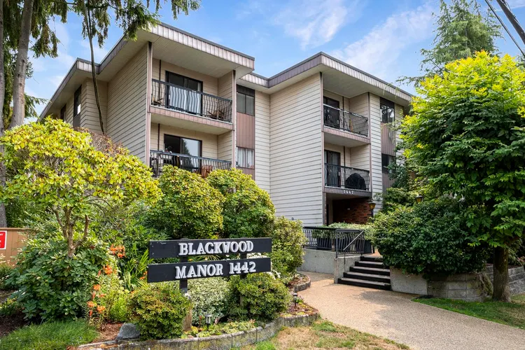 Photo 3 of 40 at #306 – 1442 Blackwood Street