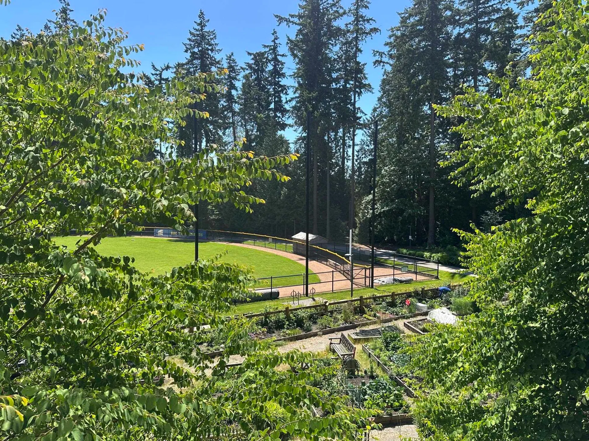 Photo 4 of 18 at #212 – 3581 Ross Drive