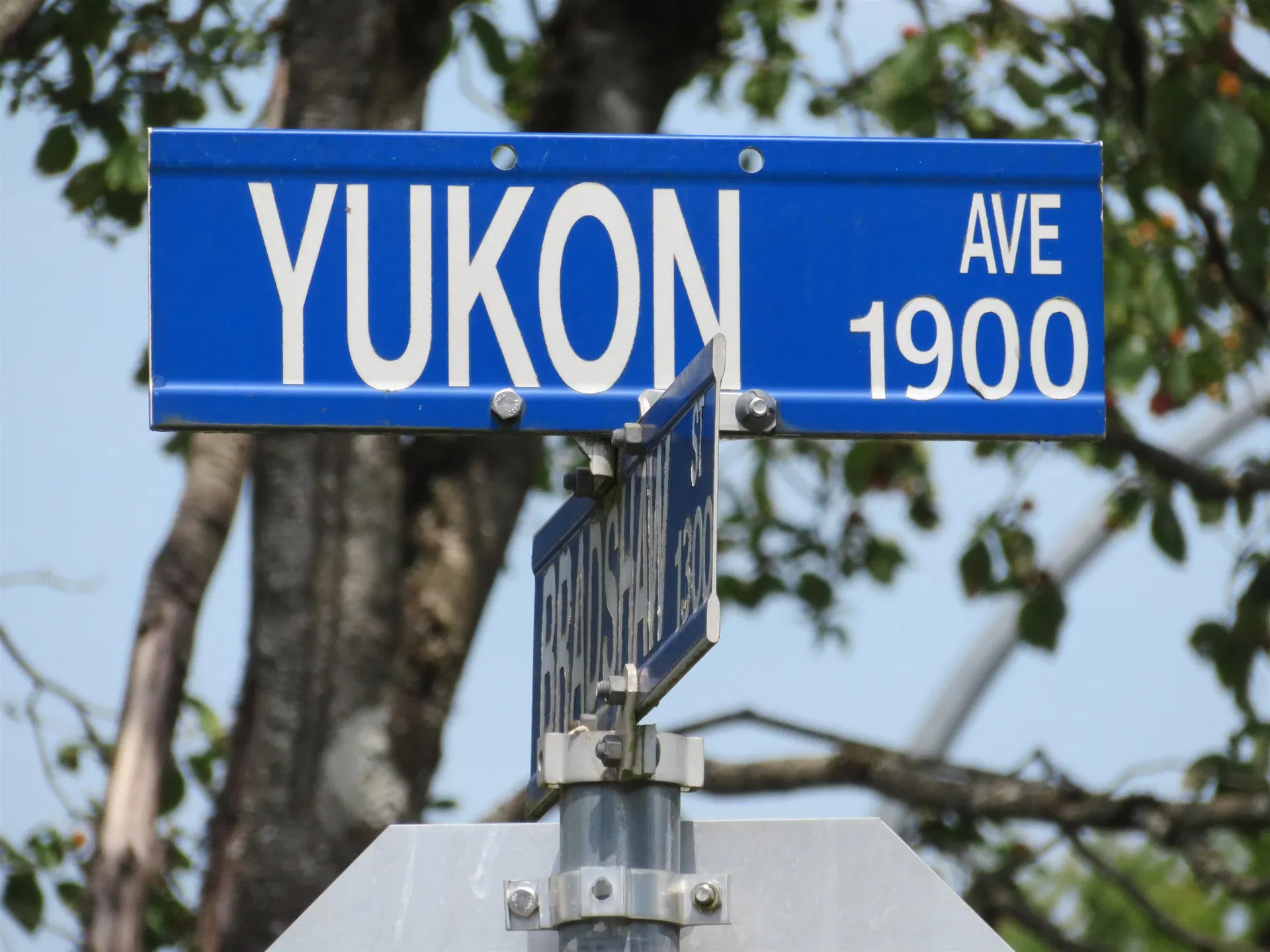 Photo 3 of 37 at 1895 Yukon Avenue