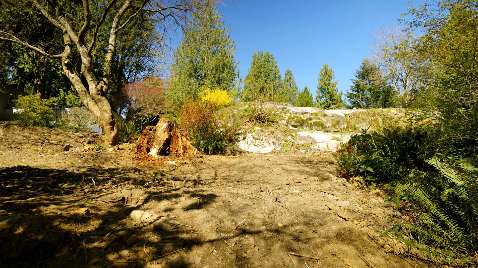 Photo 5 of 19 at 4019 Rose Crescent