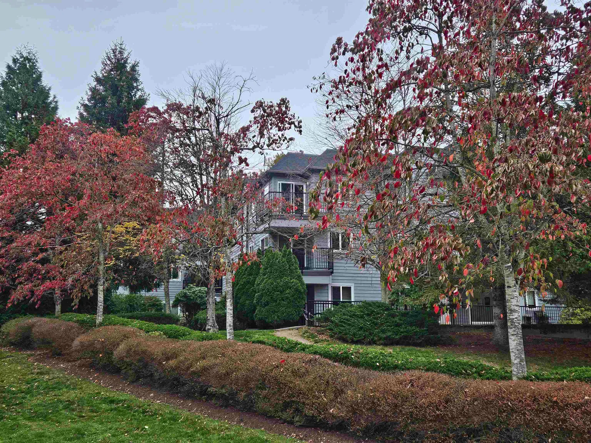 Photo 1 of 2 at #311 – 40180 Willow Crescent