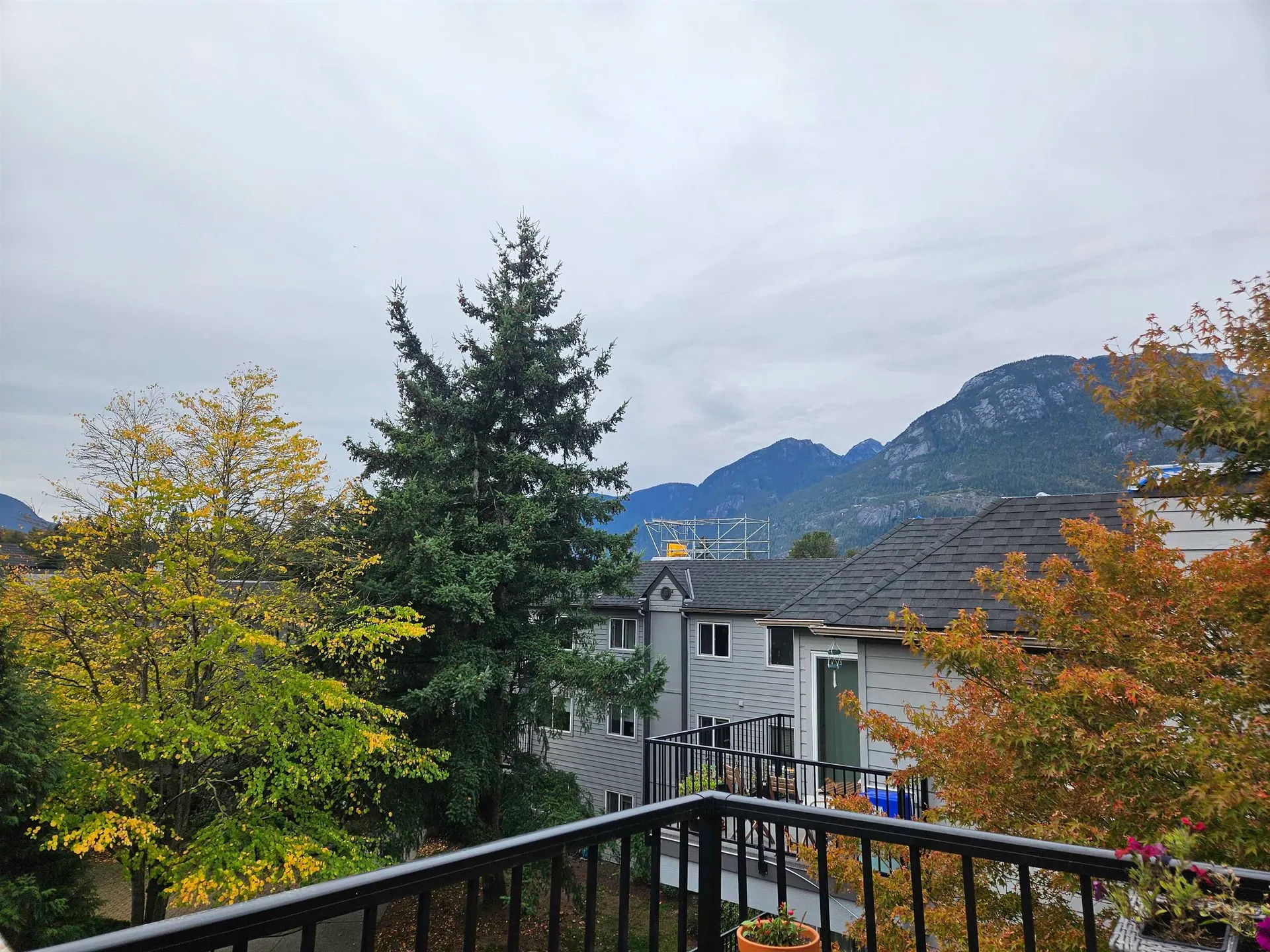 Photo 2 of 2 at #311 – 40180 Willow Crescent
