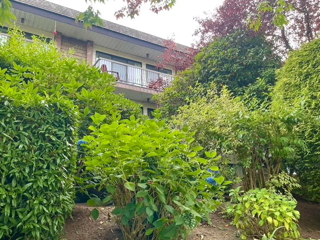 Photo 3 of 26 at #348 – 588 E 5th Avenue