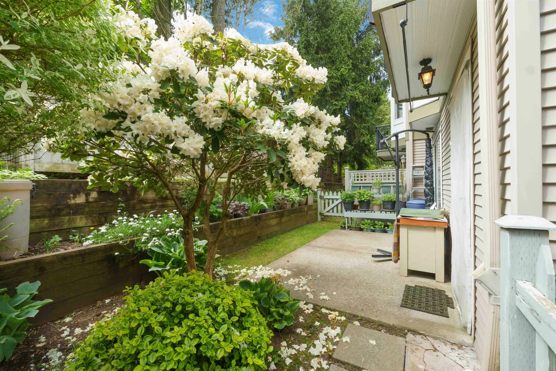 Photo 5 of 32 at #20 – 9559 130a Street