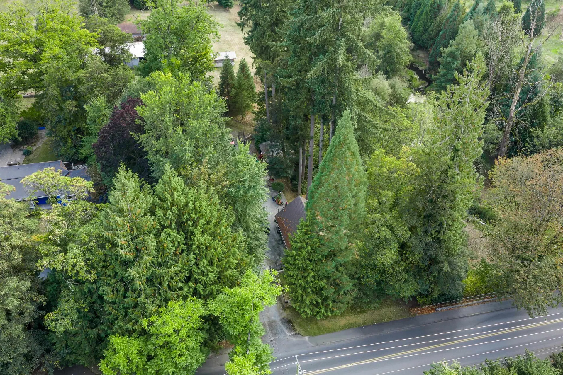 Photo 4 of 40 at 21180 48 Avenue