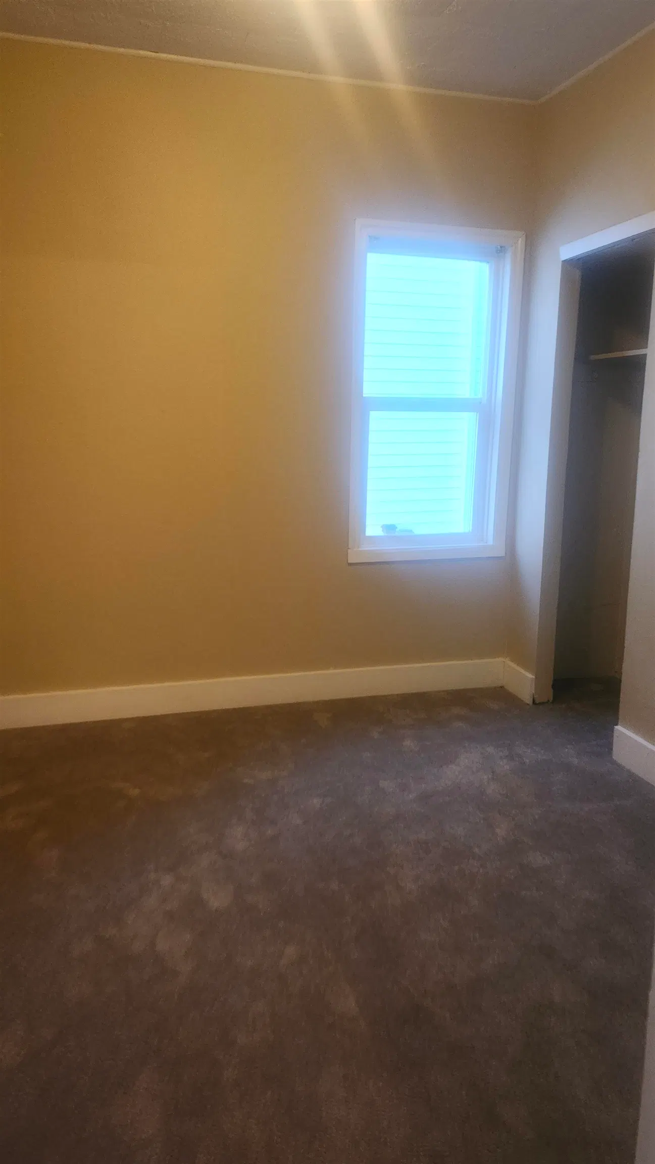 Photo 3 of 10 at 7575 Dunsmuir Street