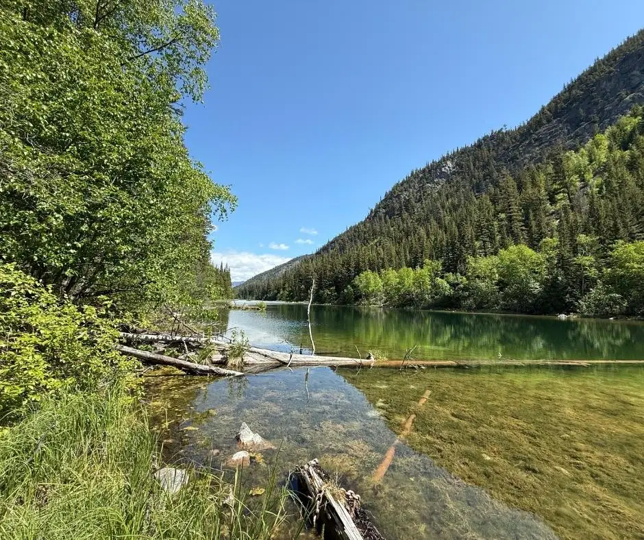 DL 2401 Sucker Lake Road