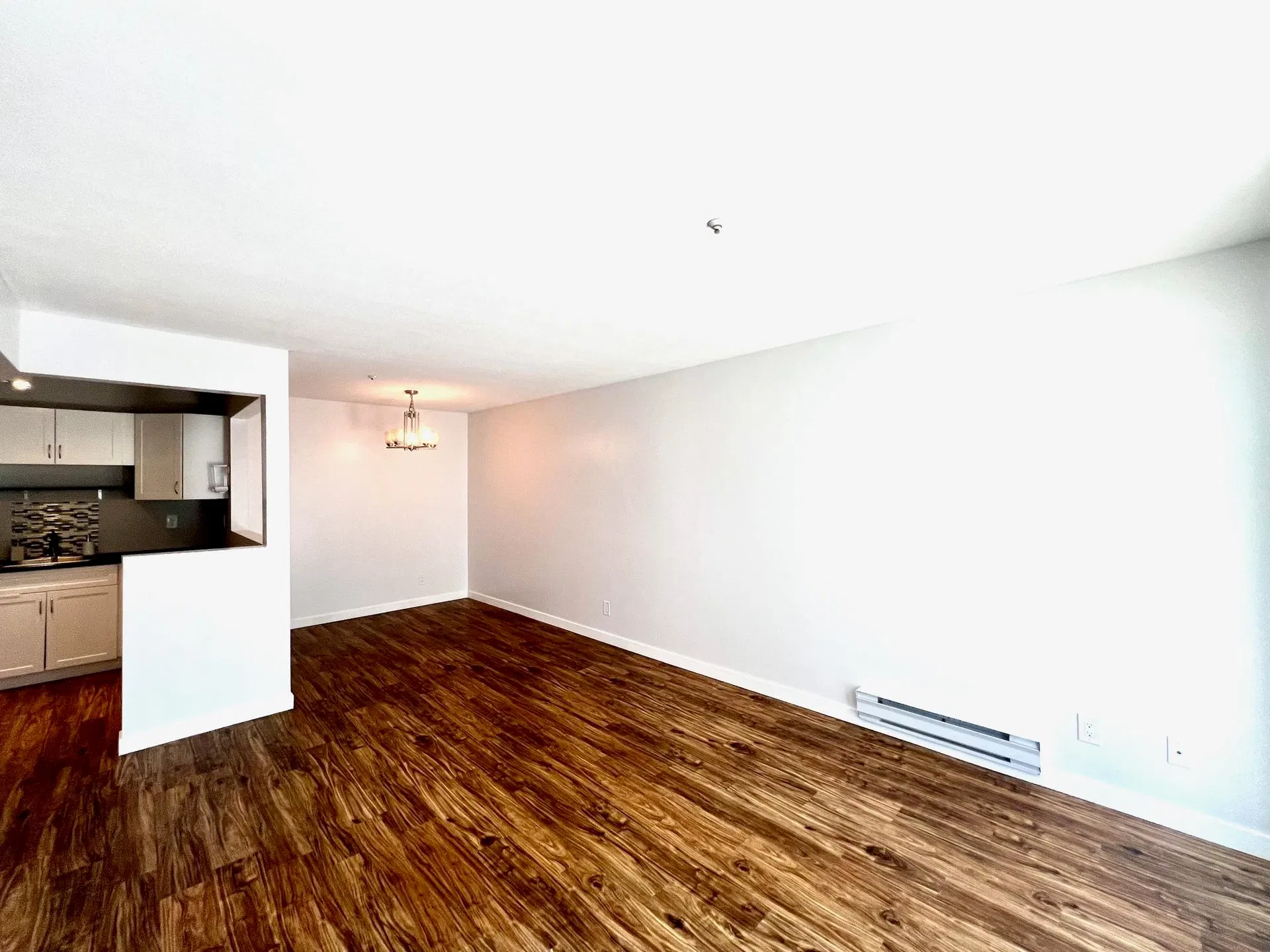 Photo 3 of 24 at #307 – 11671 Fraser Street