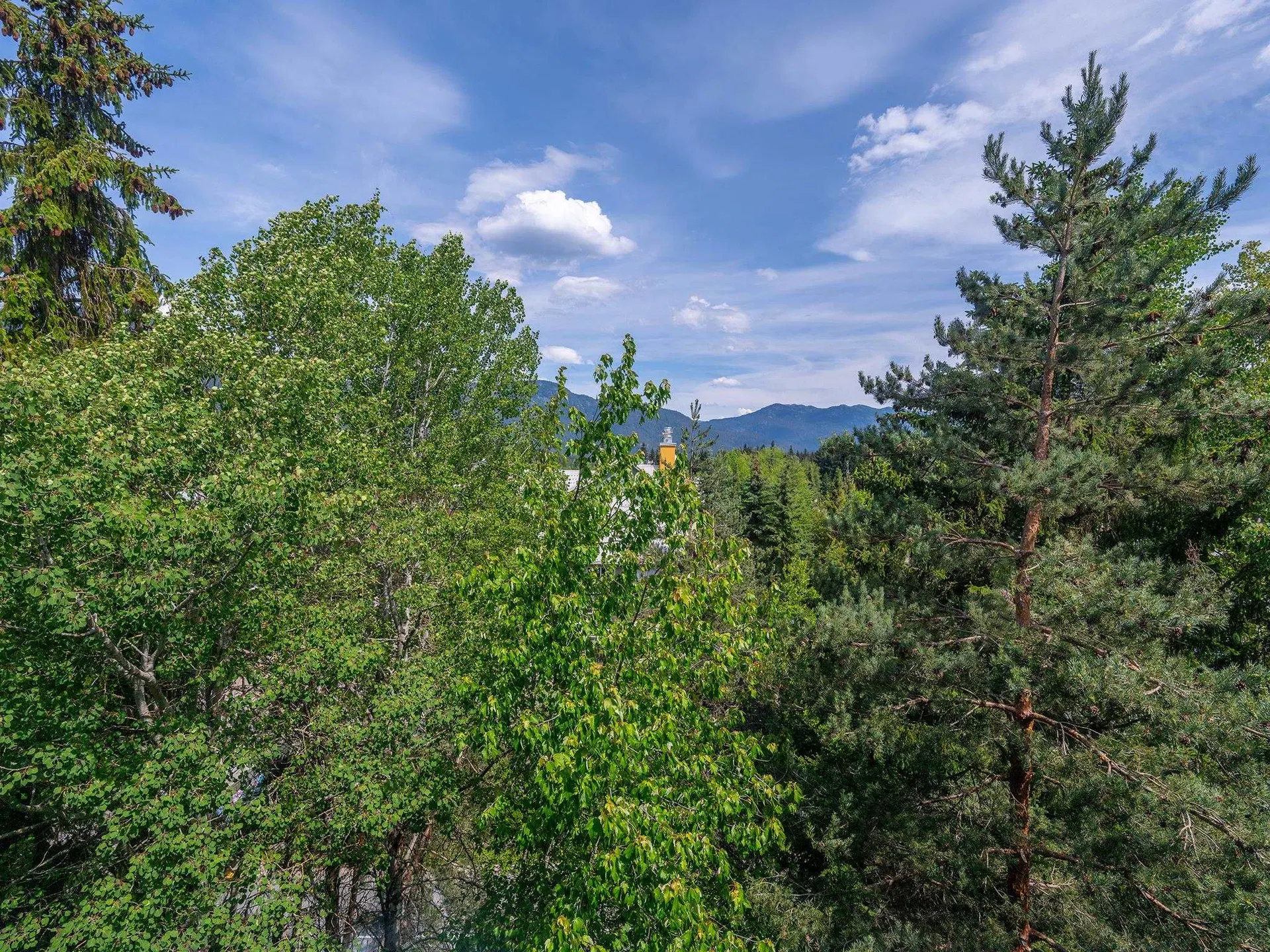 Photo 5 of 19 at #616 – 4295 Blackcomb Way