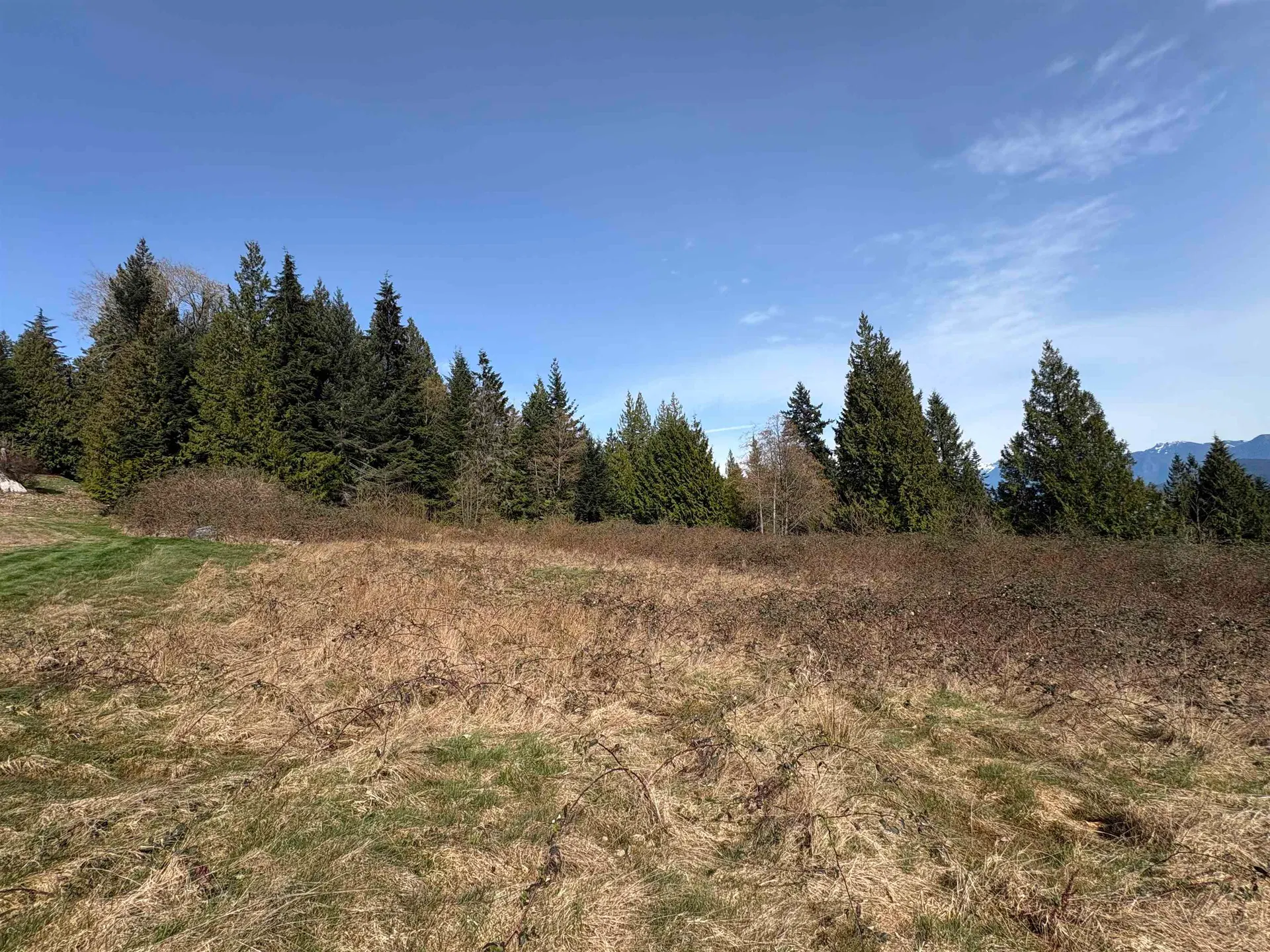 Photo 3 of 15 at LOT D Woodland Avenue