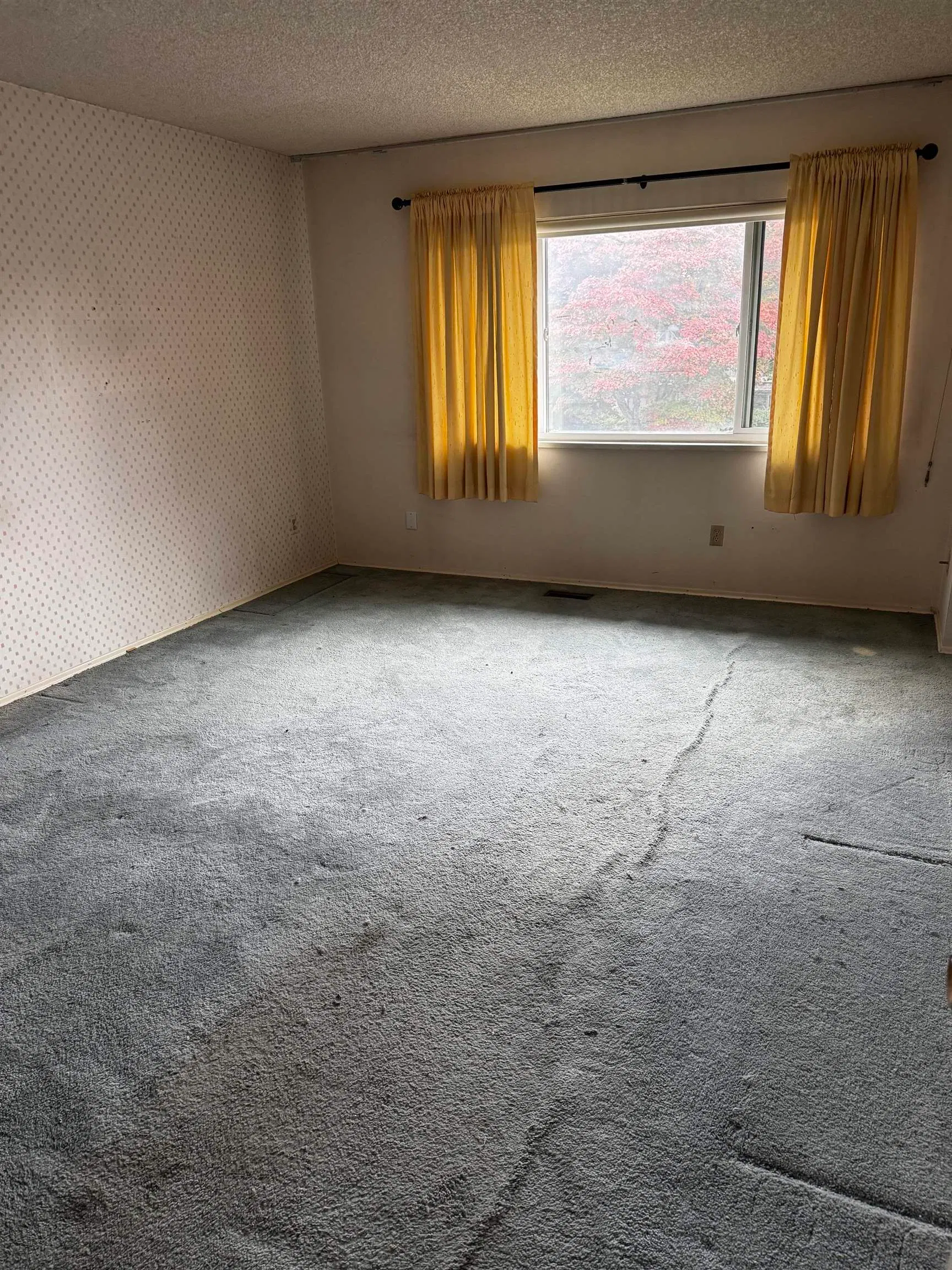 Photo 5 of 13 at #11 – 11771 Kingfisher Drive