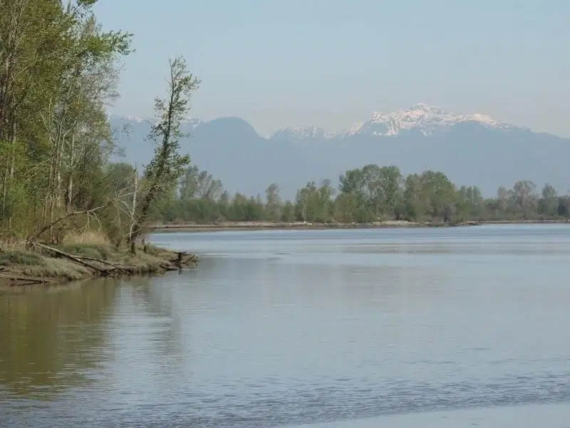 #1FH – 4515 River Road