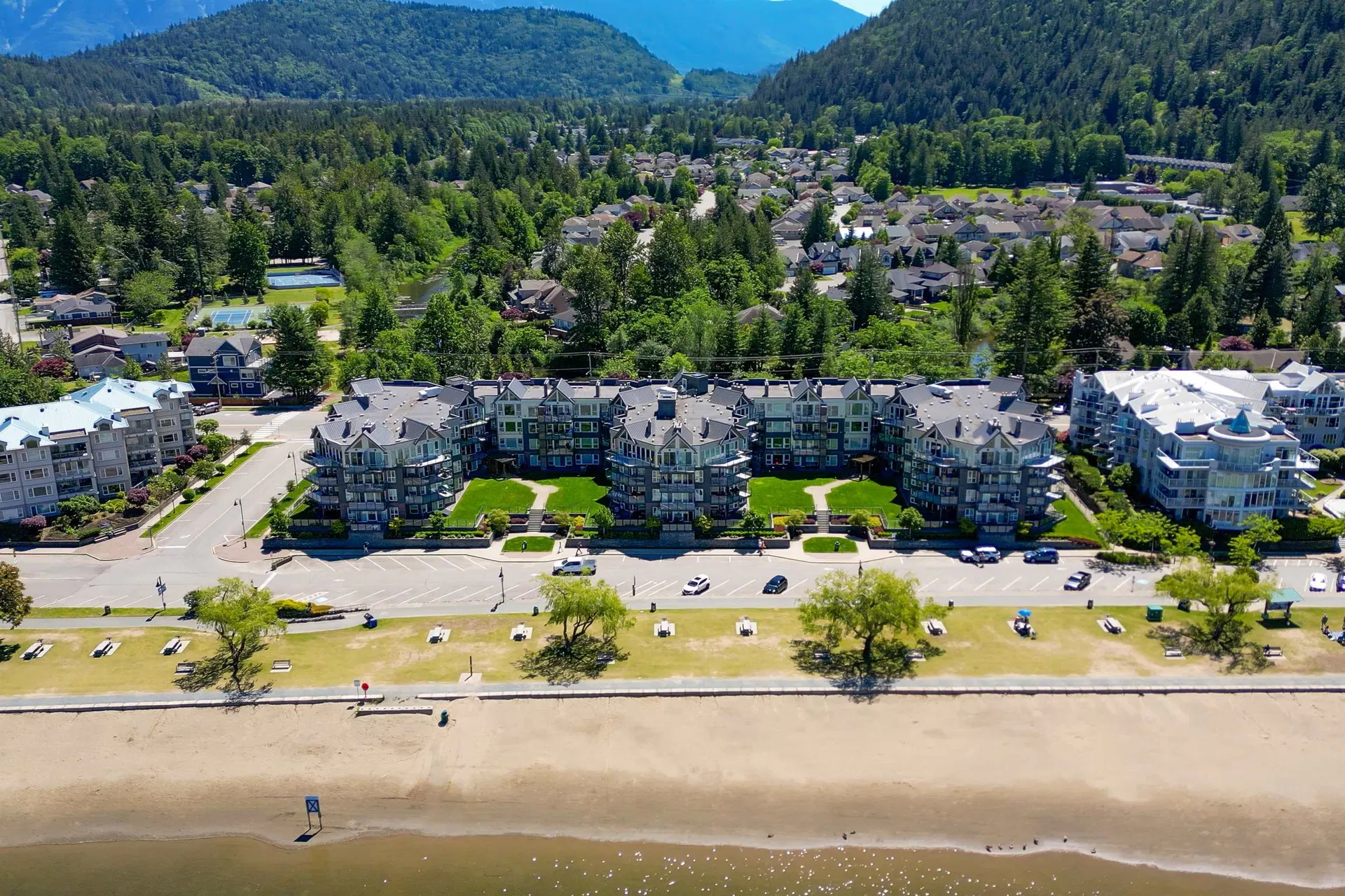 Photo 2 of 31 at #315 – 378 Esplanade Avenue