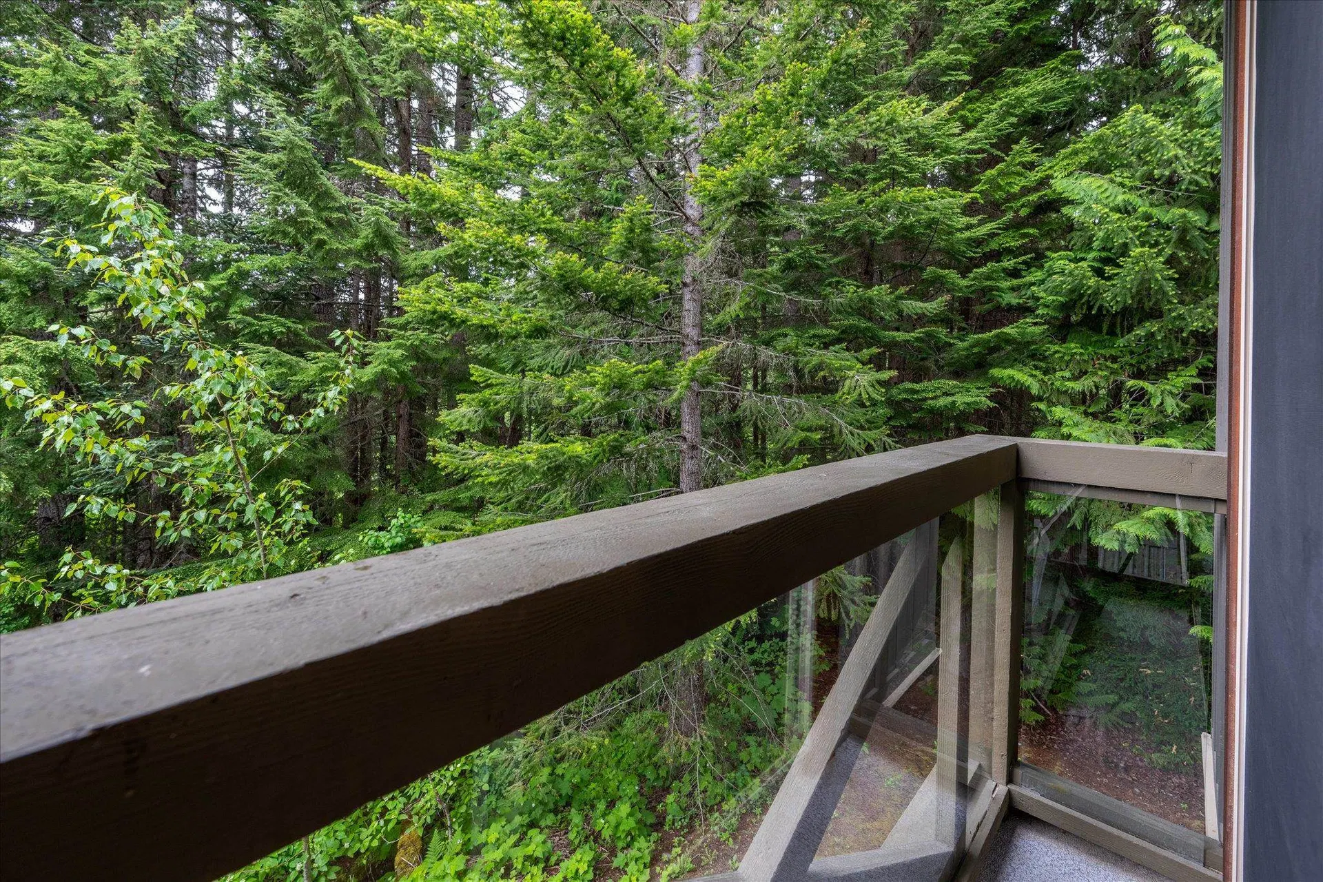 Photo 3 of 28 at #325 – 4660 Blackcomb Way