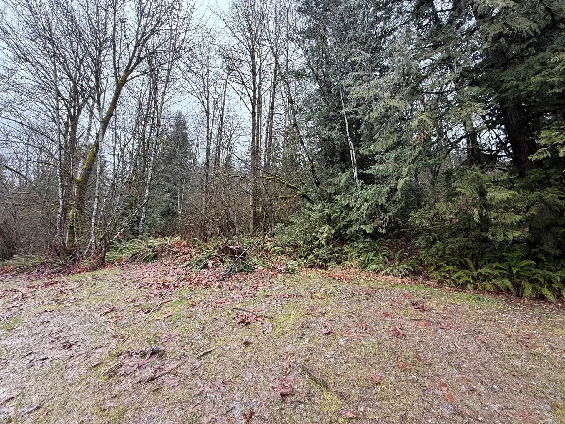 Photo 4 of 8 at 65936 Kawkawa Lake Road