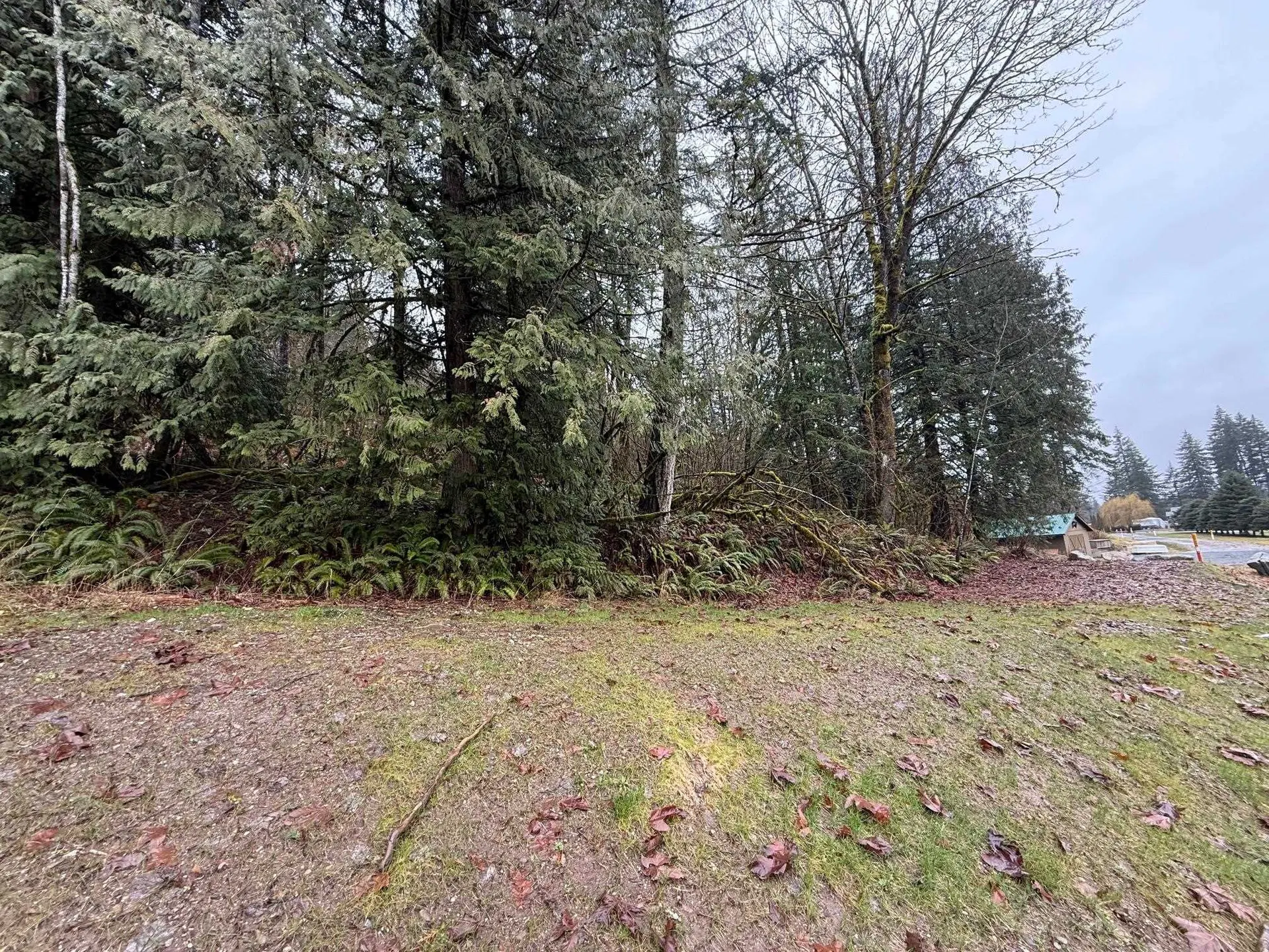 Photo 5 of 8 at 65936 Kawkawa Lake Road