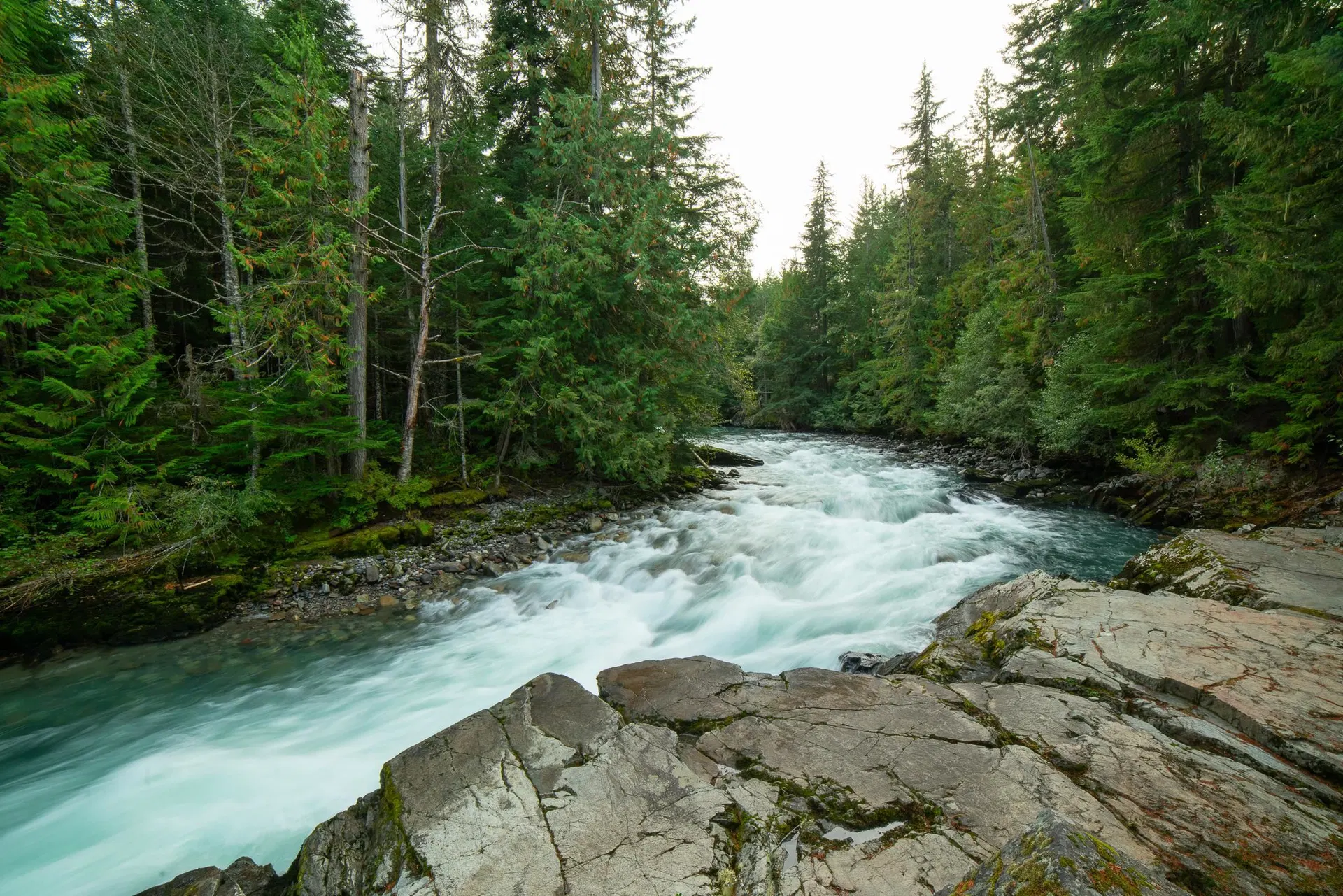 Photo 1 of 7 at Lot 10 – 1726 River Run Place