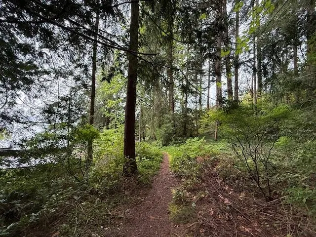 Photo 1 of 11 at LOT 10 Elphinstone Avenue