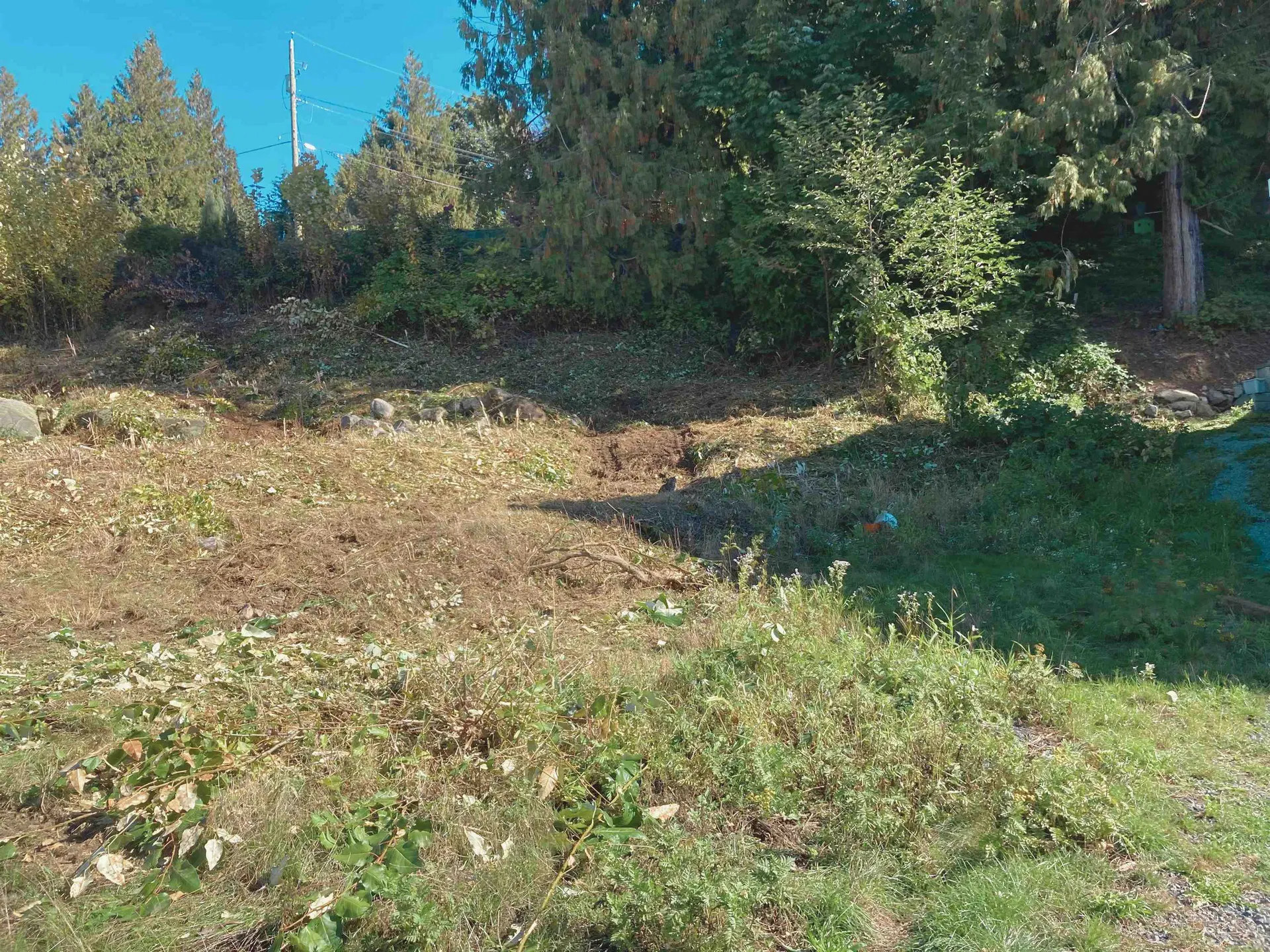 Photo 3 of 7 at 7321 Marble Hill Road