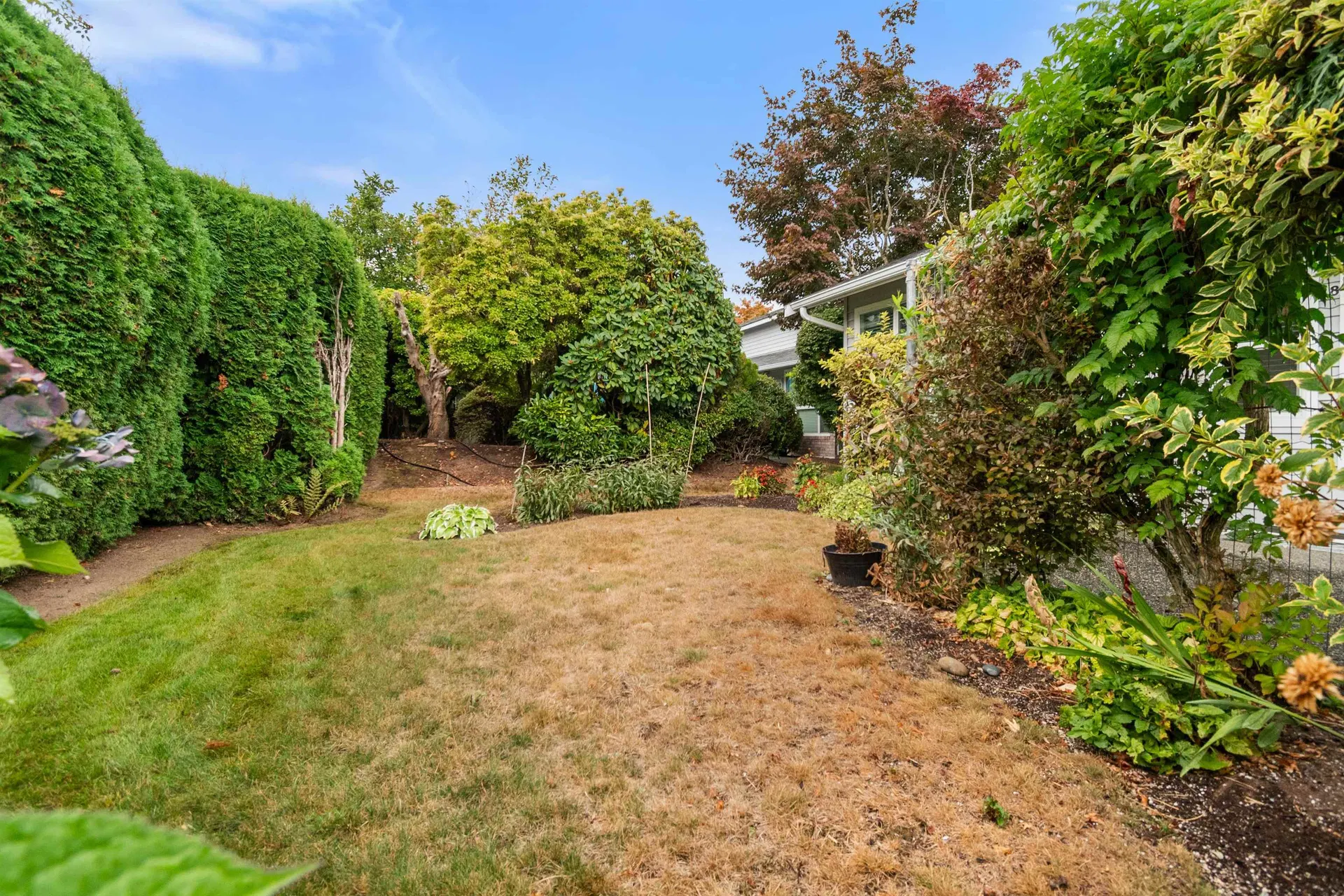 Photo 5 of 36 at #28 – 2989 Trafalgar Street