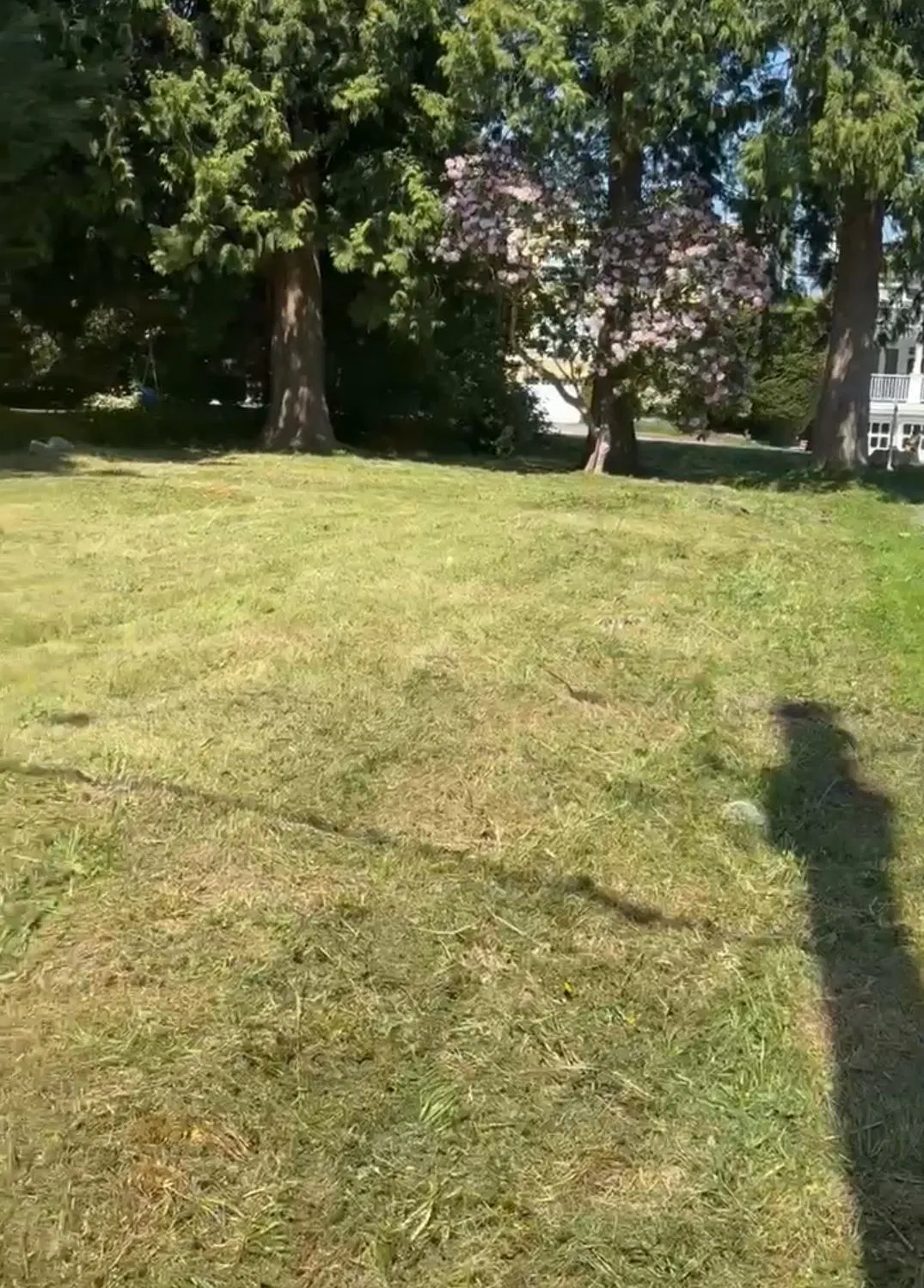 Photo 2 of 6 at 15482 Semiahmoo Avenue
