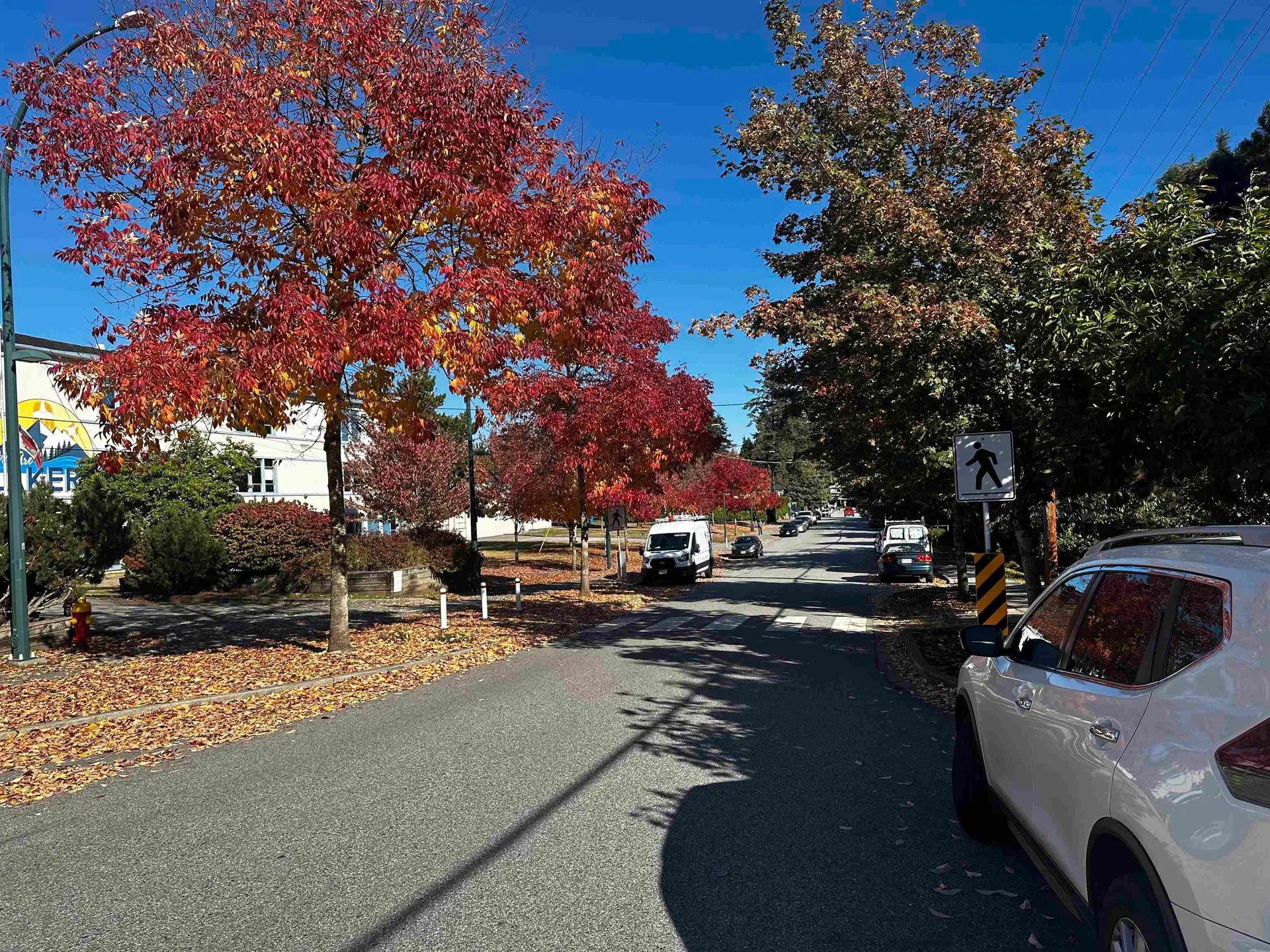 Photo 3 of 3 at #205 – 1122 King Albert Avenue