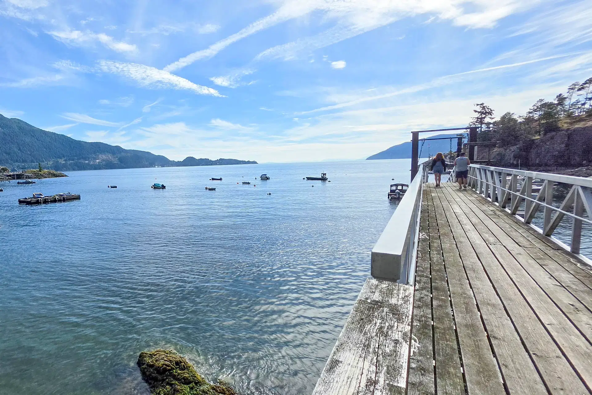 SITE 8 – SC 122 Bowyer Island Estates